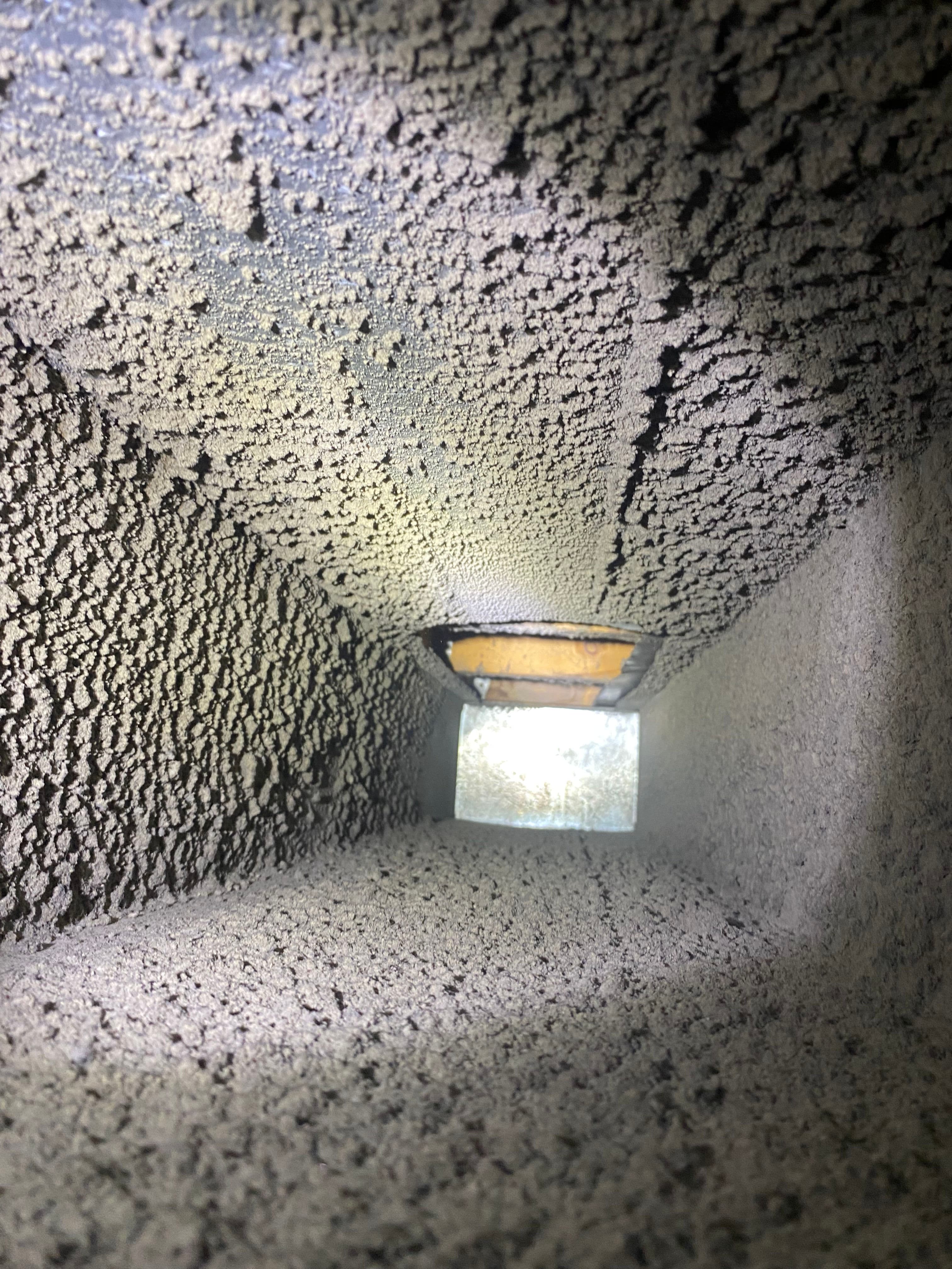 Project What's Really Hiding Inside Your Home's Air Ducts image