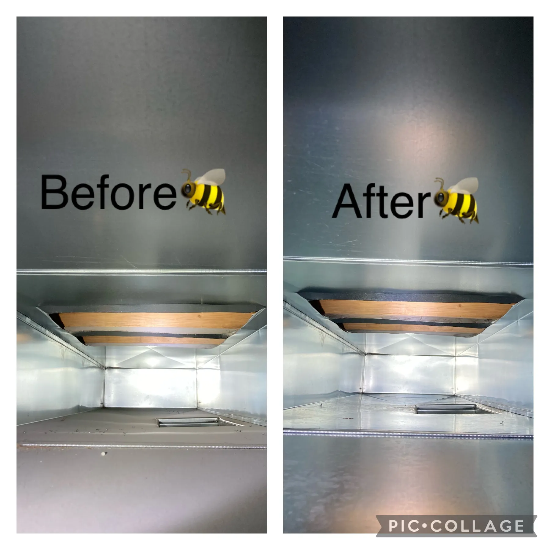 Gallery photos for What's Really Living Inside Your Air Ducts: Image #2