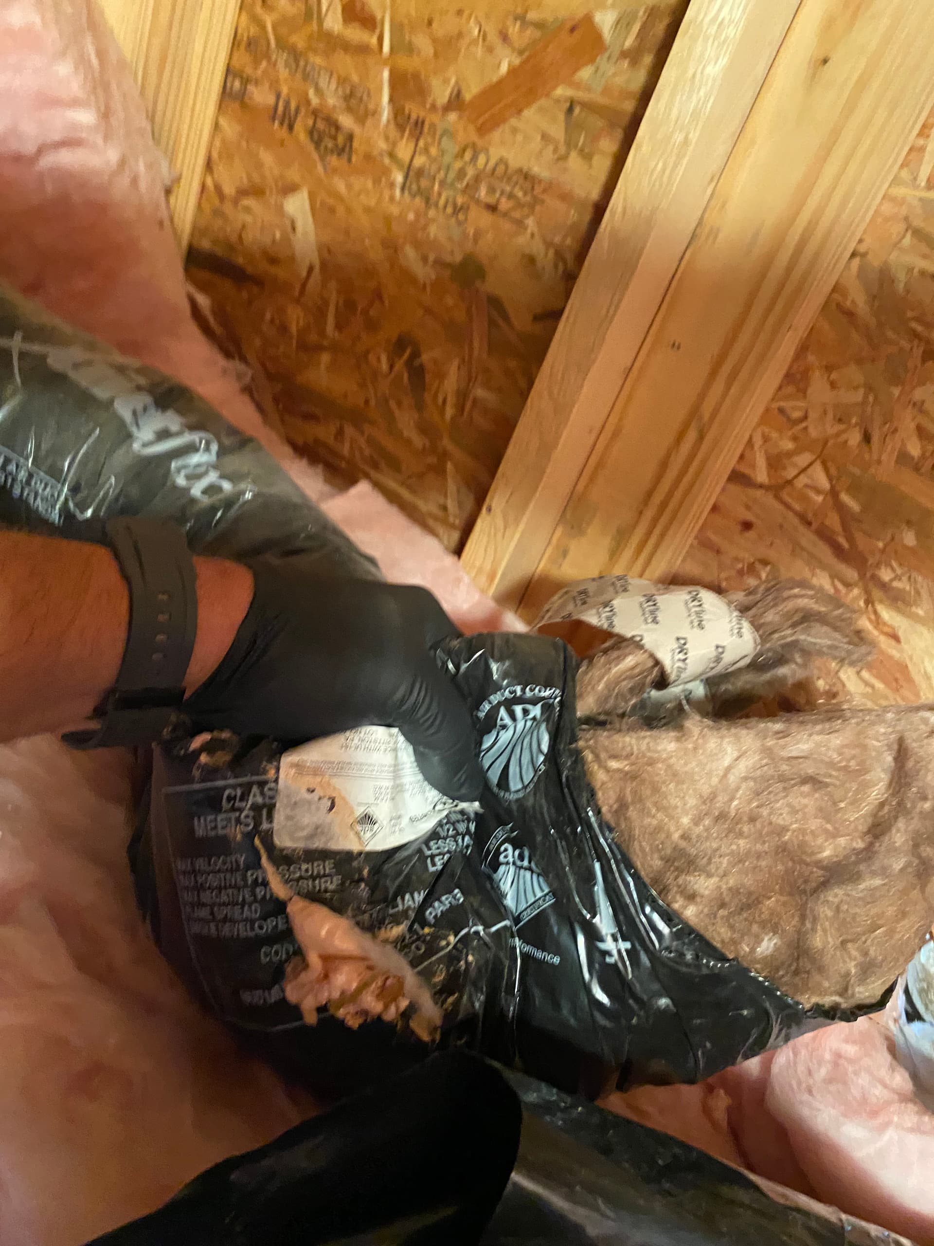 Gallery photos for Bird Nest in a Bathroom Fan Vent Caused Chaos in Newport: Image #3