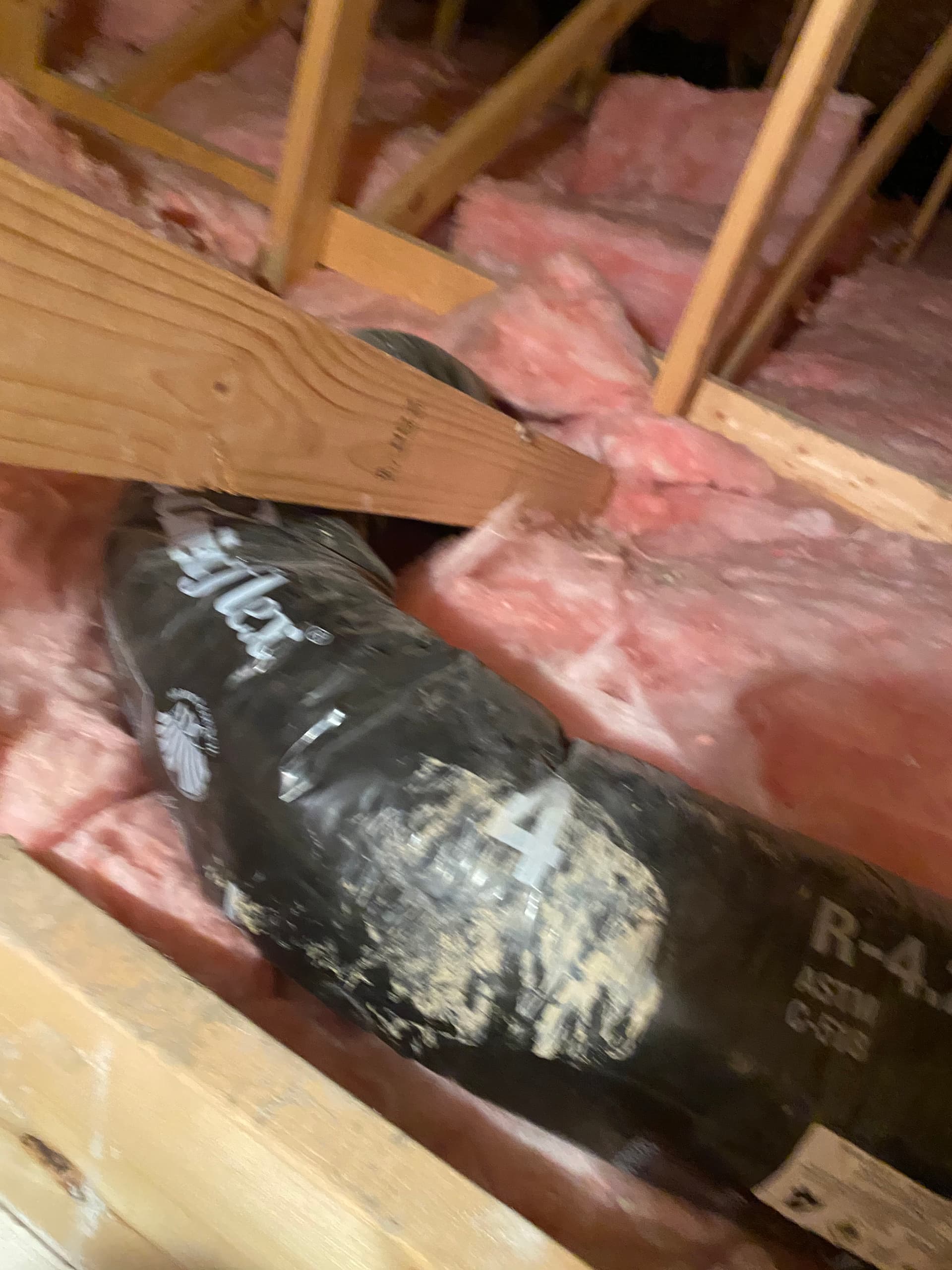 Gallery photos for Bird Nest in a Bathroom Fan Vent Caused Chaos in Newport: Image #4