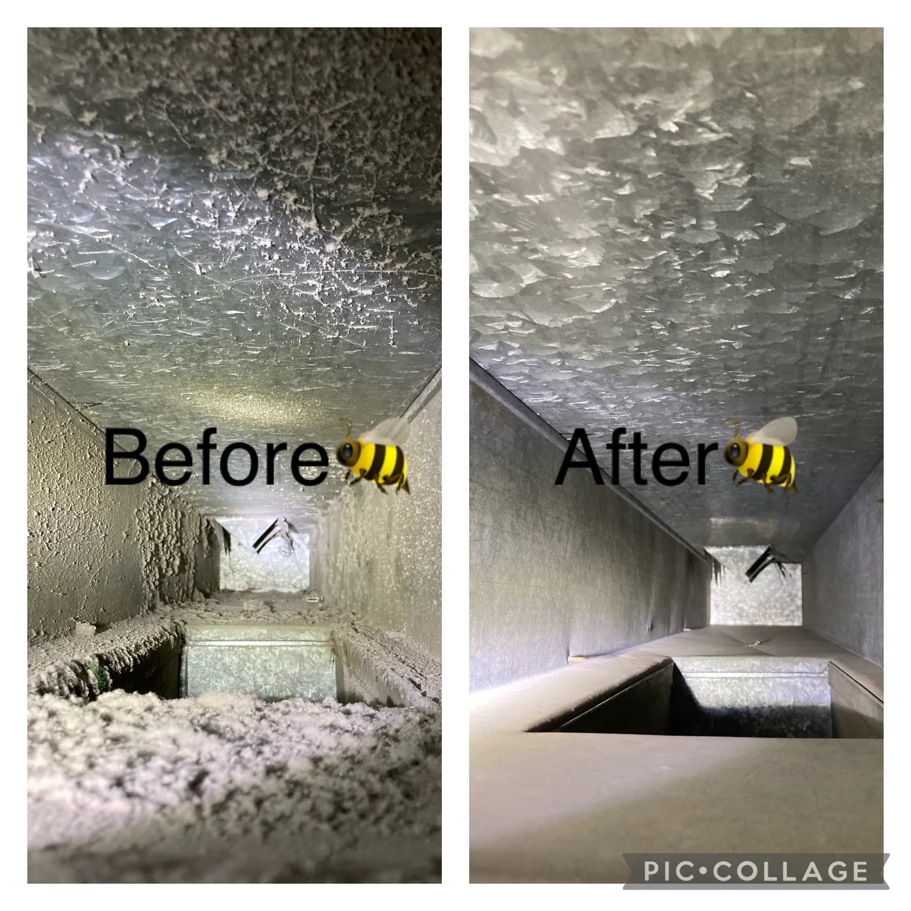 Gallery photos for What's Really Living Inside Your Air Ducts: Image #5
