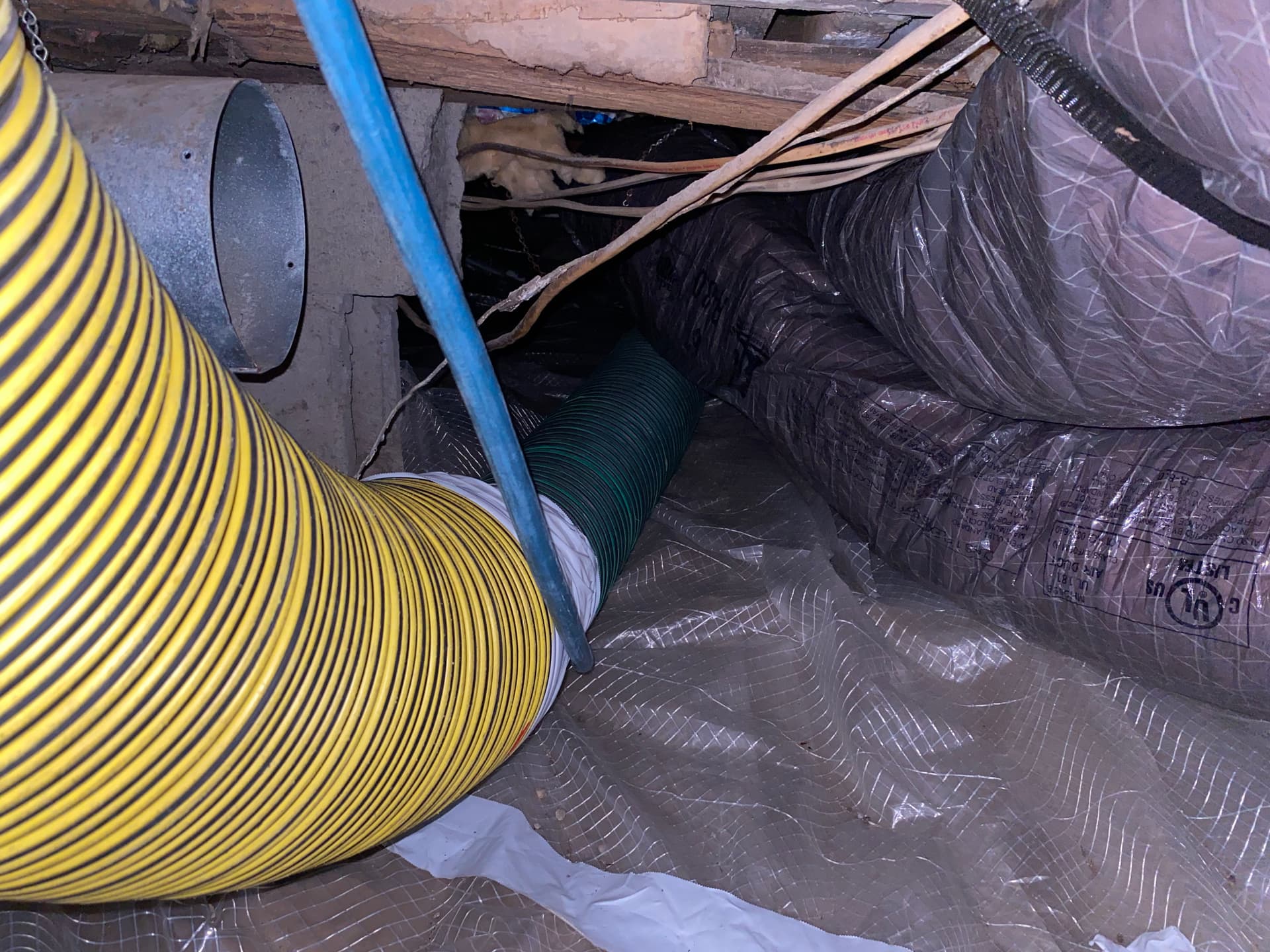 Gallery photos for What's Hiding in Your Ductwork and Crawlspace: Image #3