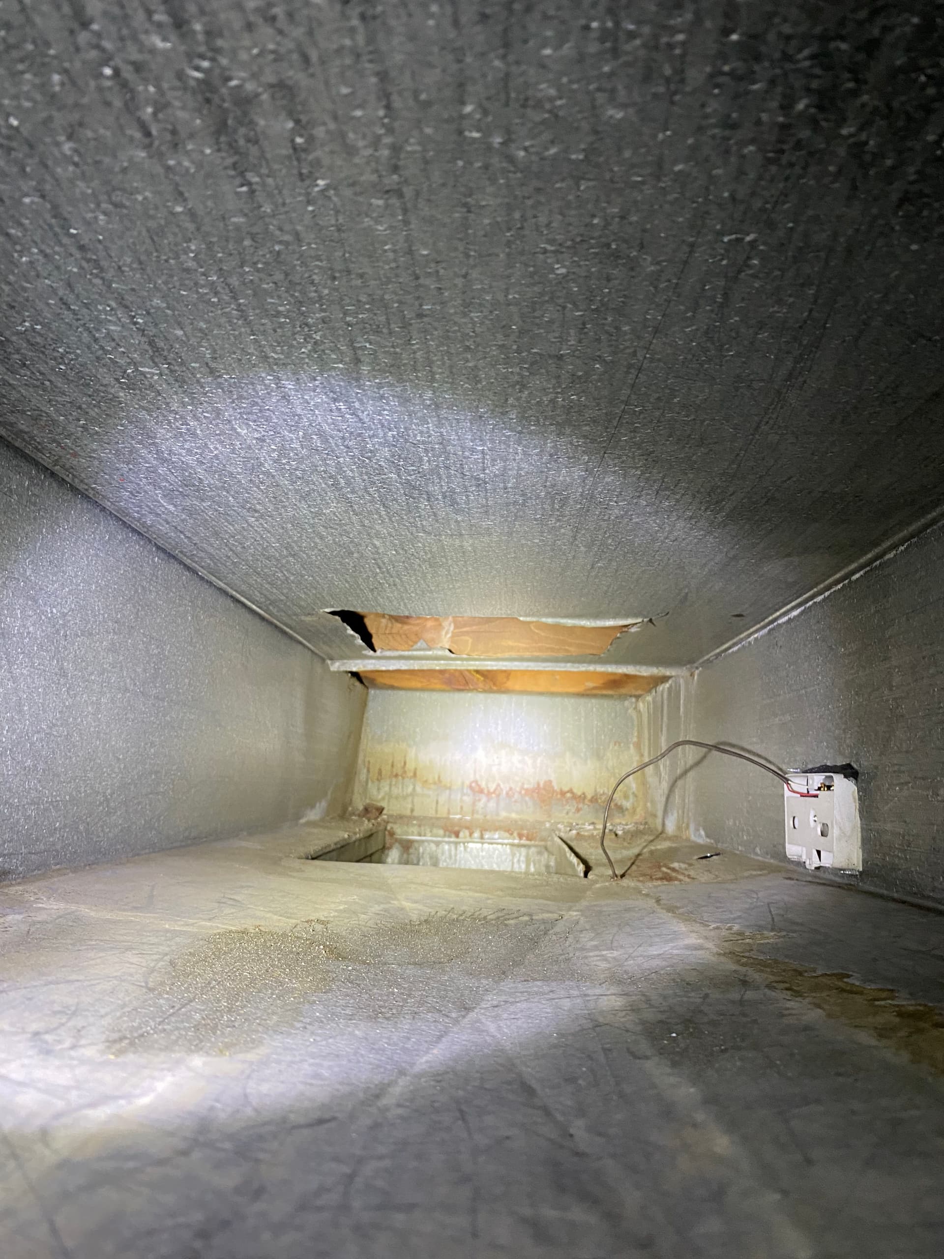 Gallery photos for What's Hiding in Your Ductwork and Crawlspace: Image #5