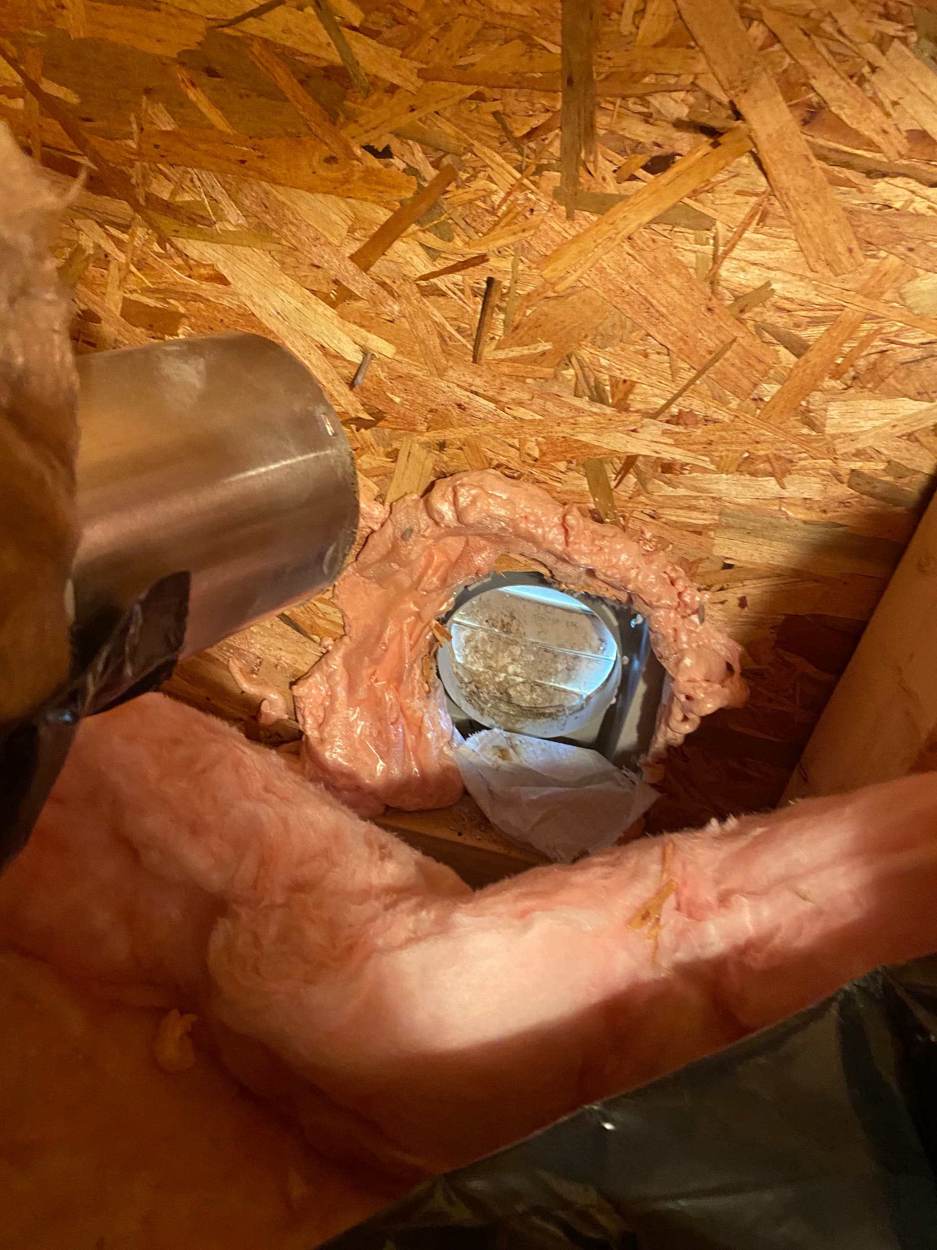 Gallery photos for Bird Nest in a Bathroom Fan Vent Caused Chaos in Newport: Image #2