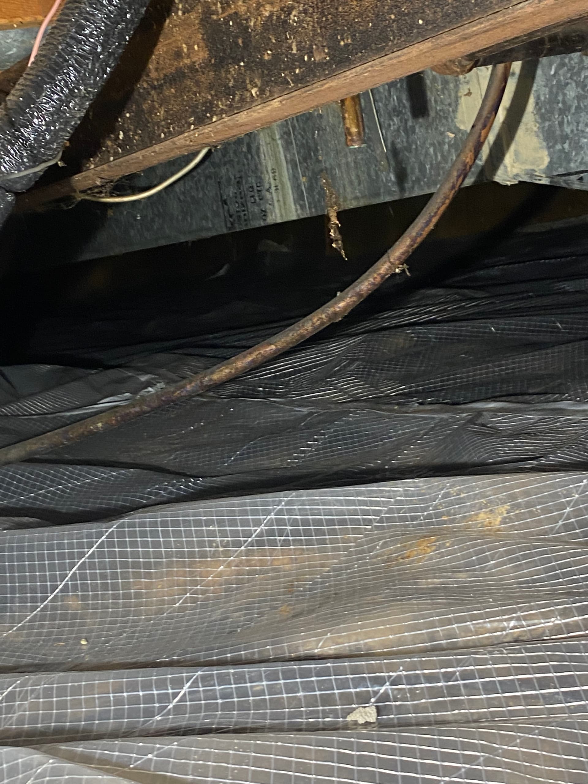 Gallery photos for Newport Crawl Space Gets Full Moisture and Insulation Overhaul: Image #1