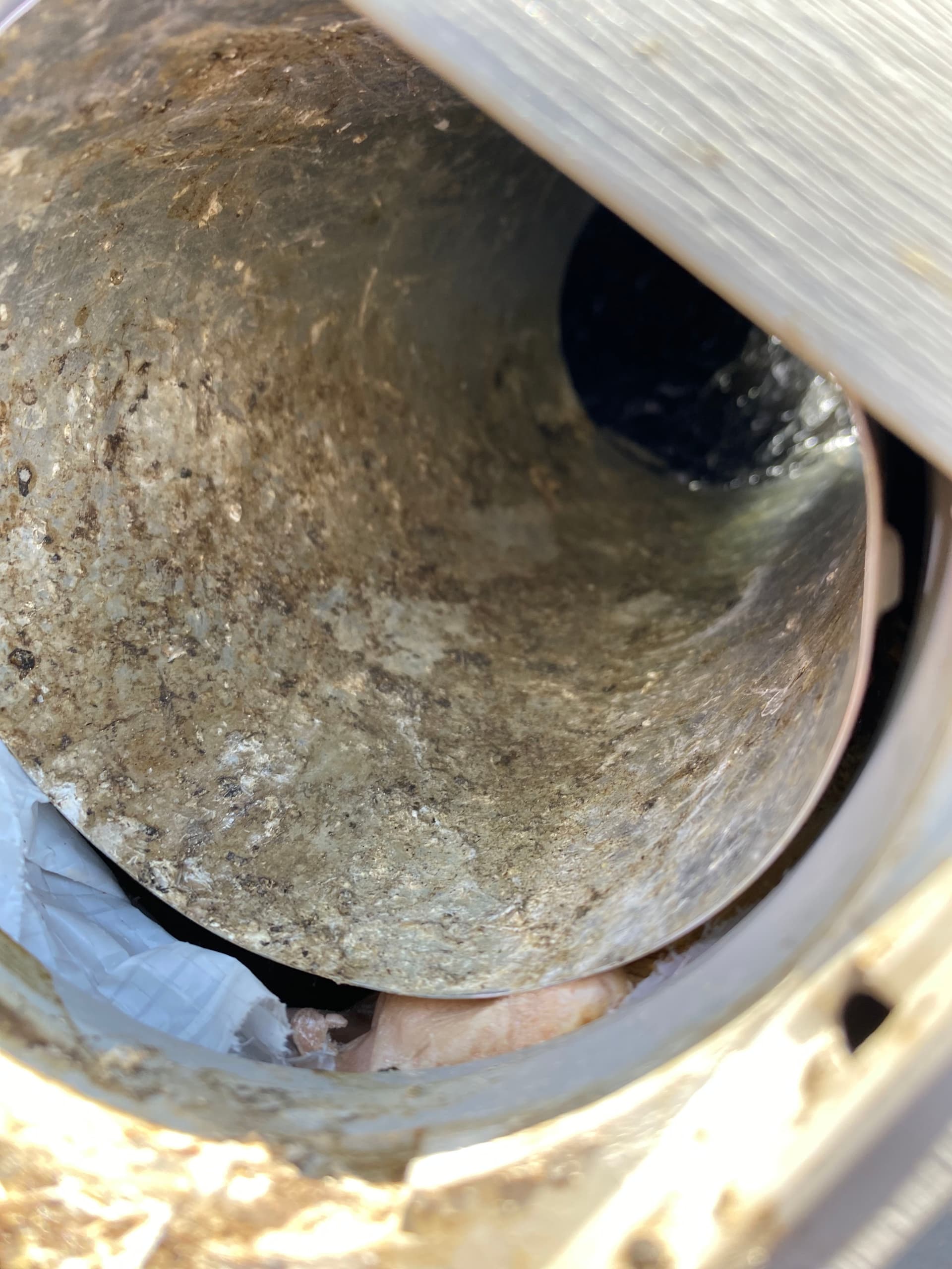 Gallery photos for Bird Nest in a Bathroom Fan Vent Caused Chaos in Newport: Image #1