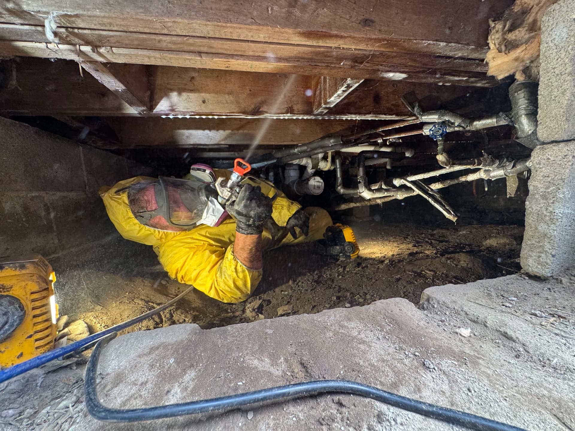Gallery photos for Crawl Space Mold Remediation Done Right - No Shortcuts: Image #1