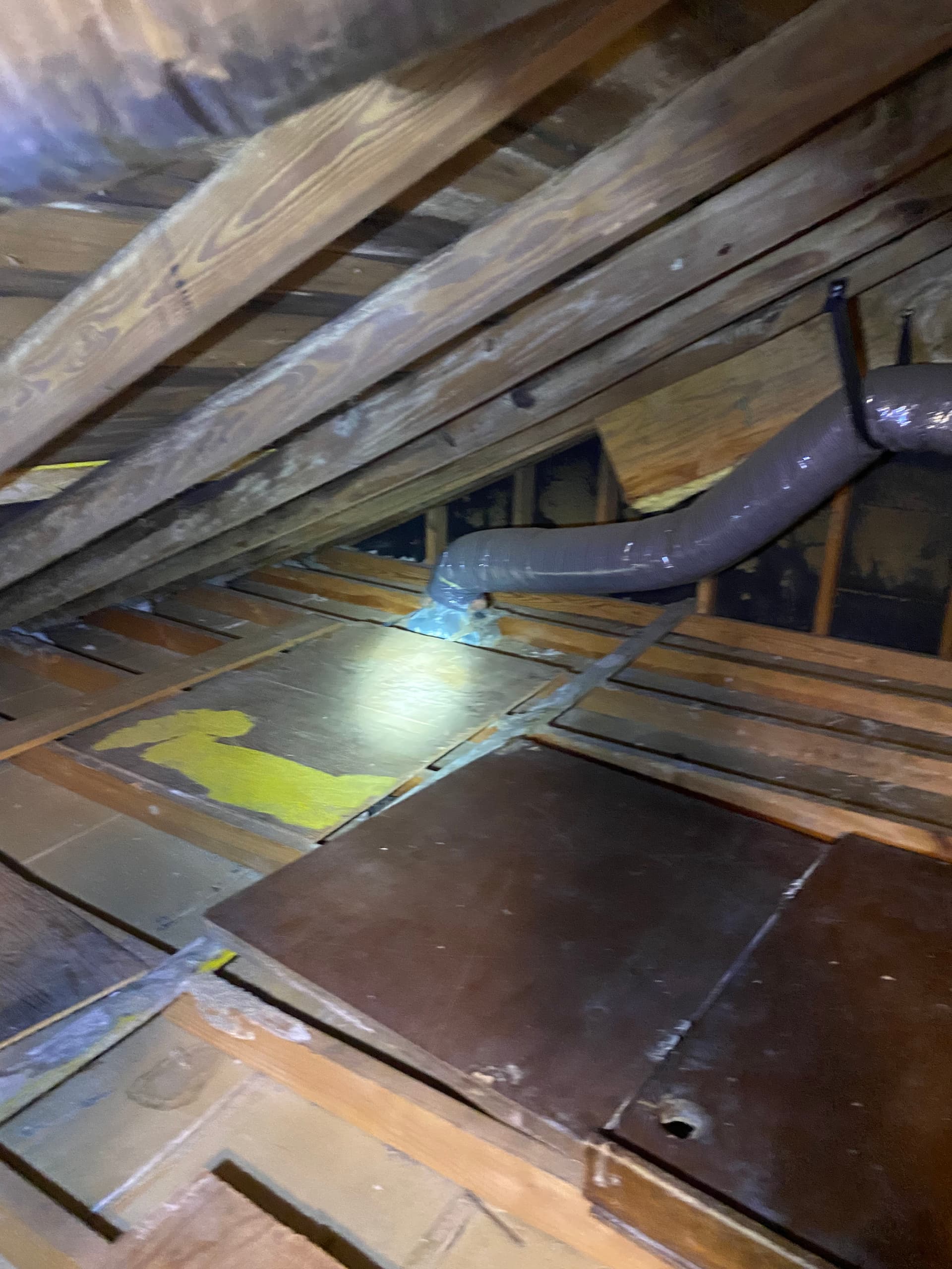 Gallery photos for Contaminated Insulation Removal and Full Duct Cleaning for Local Office: Image #9