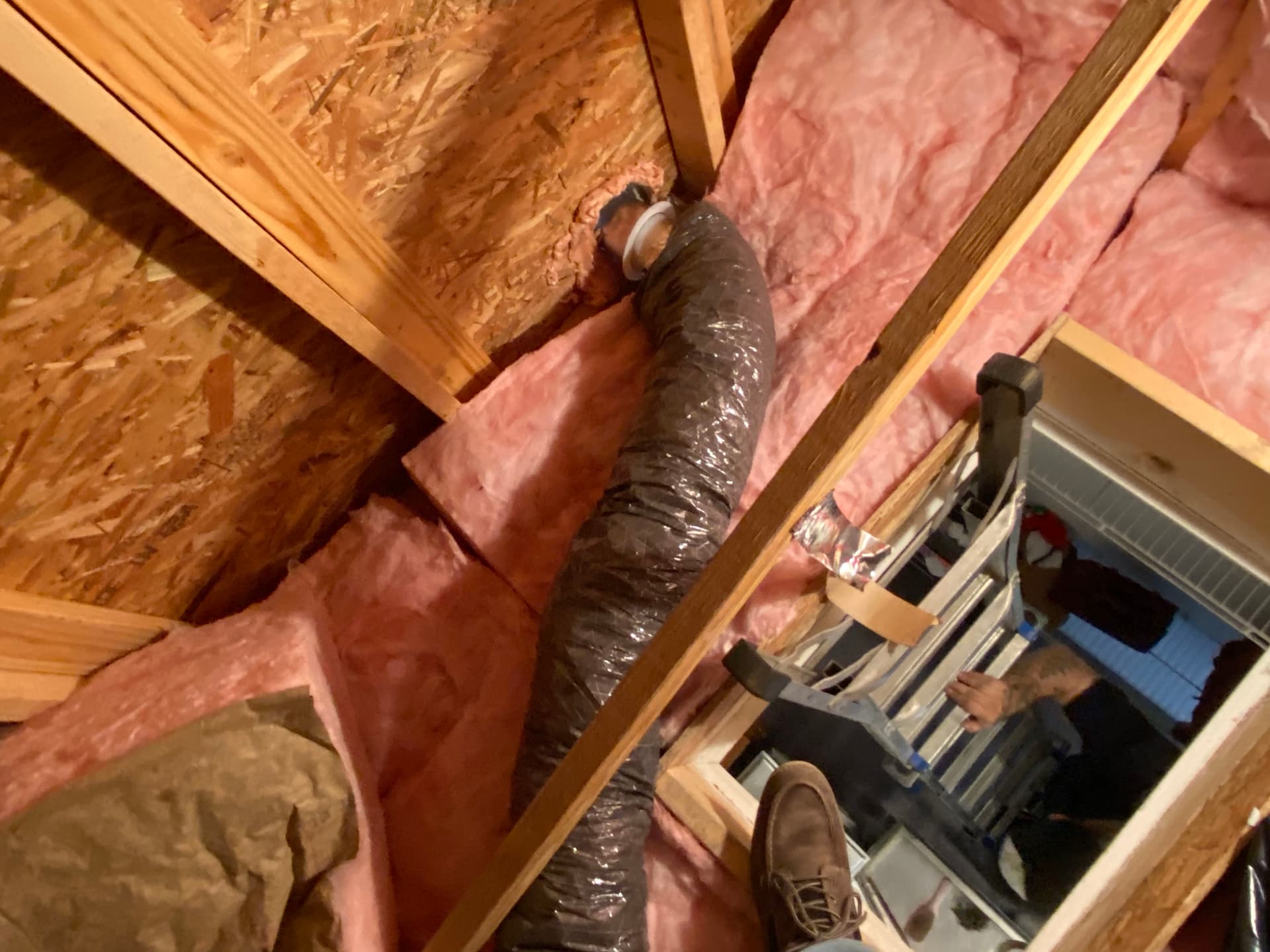 Gallery photos for Bird Nest in a Bathroom Fan Vent Caused Chaos in Newport: Image #6