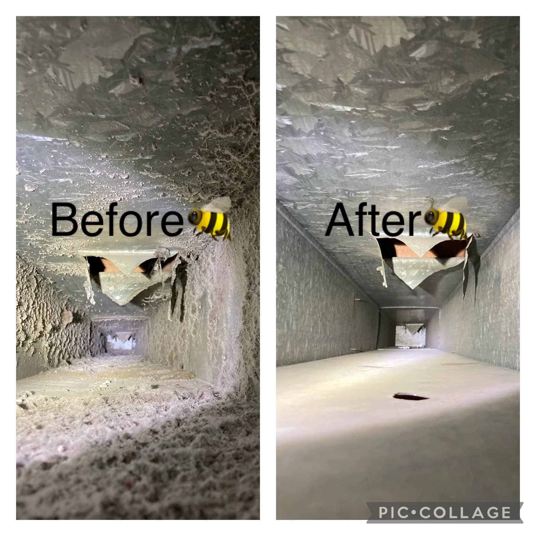 Gallery photos for What's Really Living Inside Your Air Ducts: Image #4