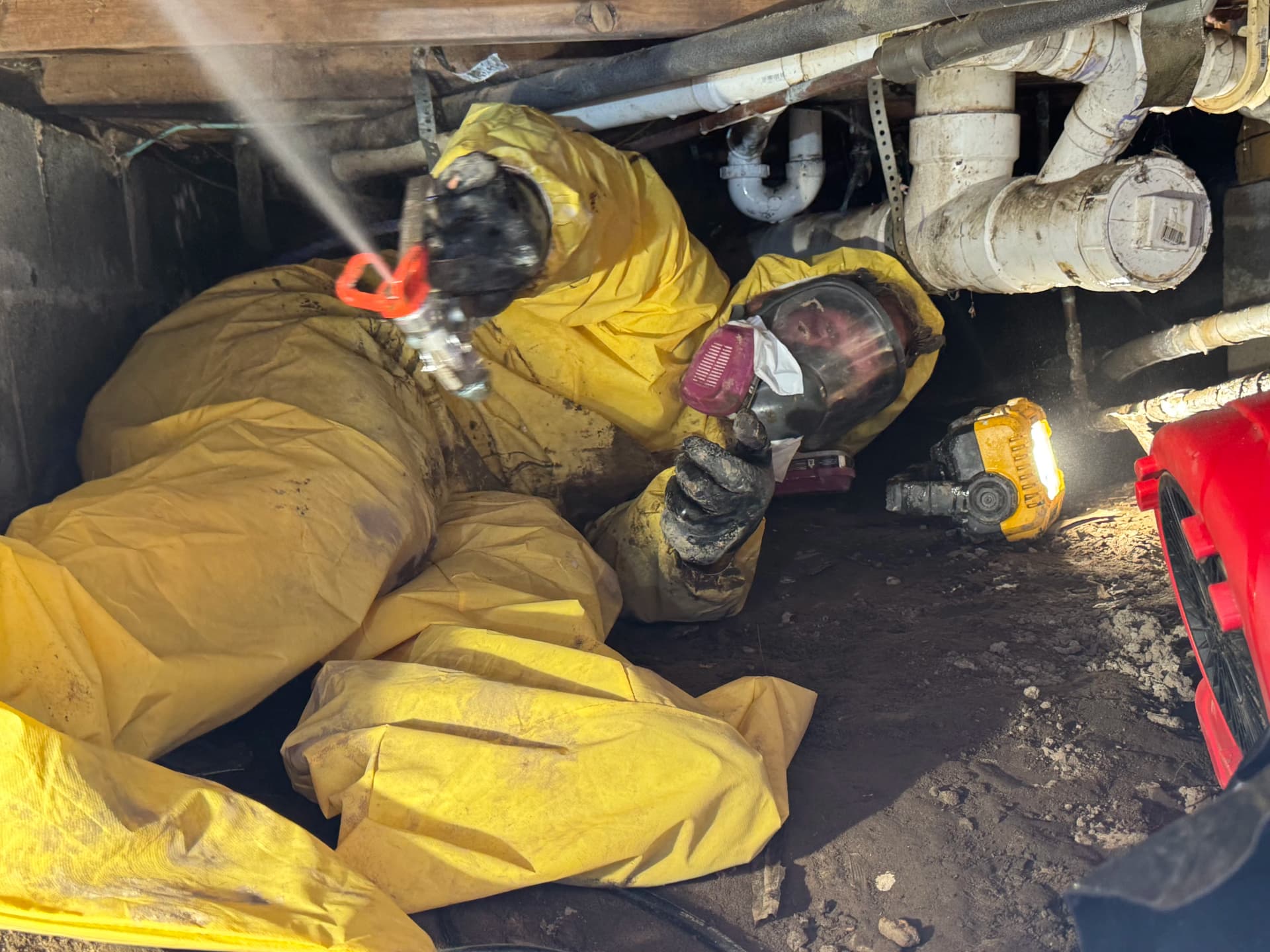 Gallery photos for Crawl Space Mold Remediation Done Right - No Shortcuts: Image #5