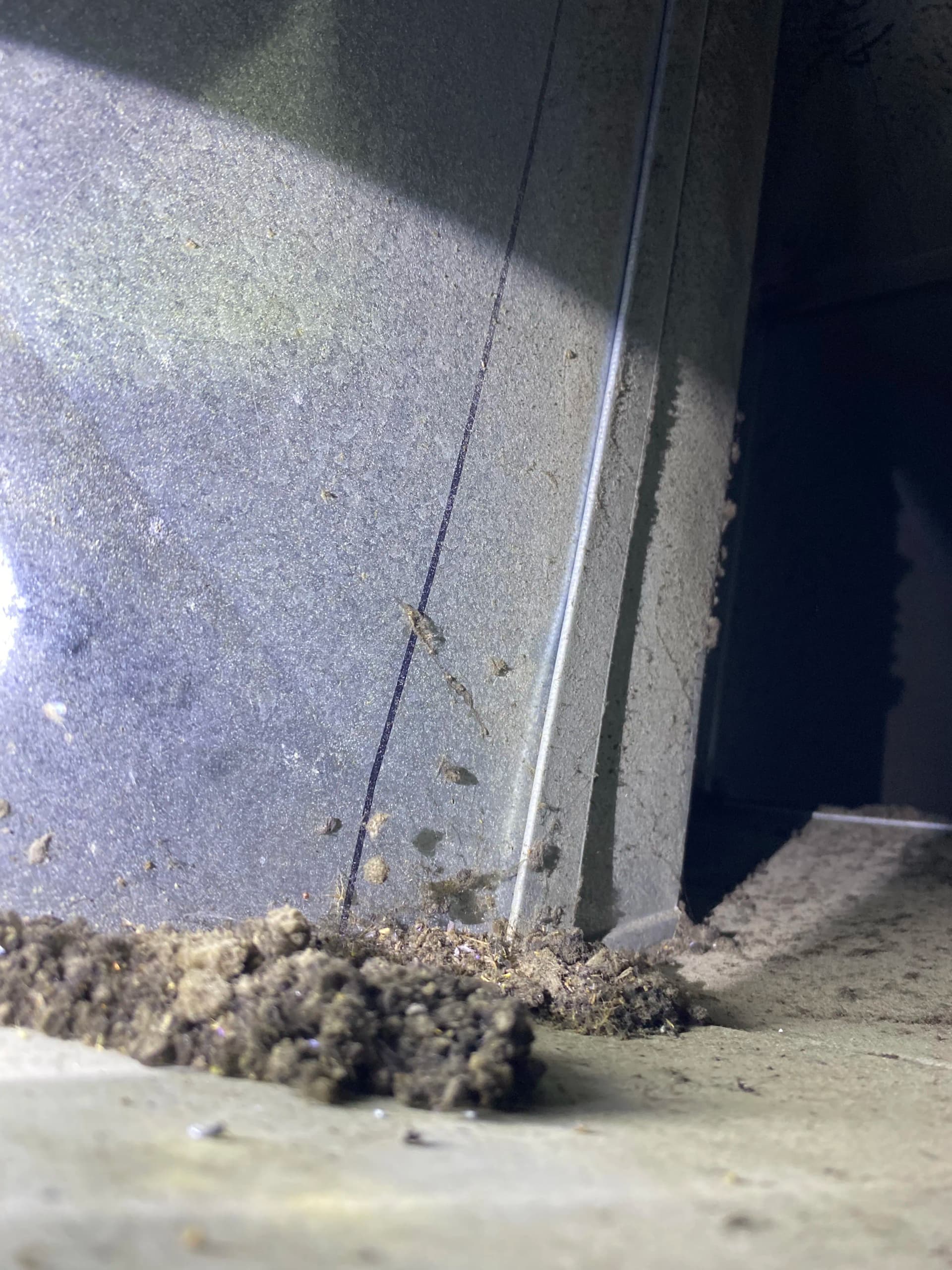Gallery photos for Full Duct Cleaning at Olga's Kitchen: Image #1