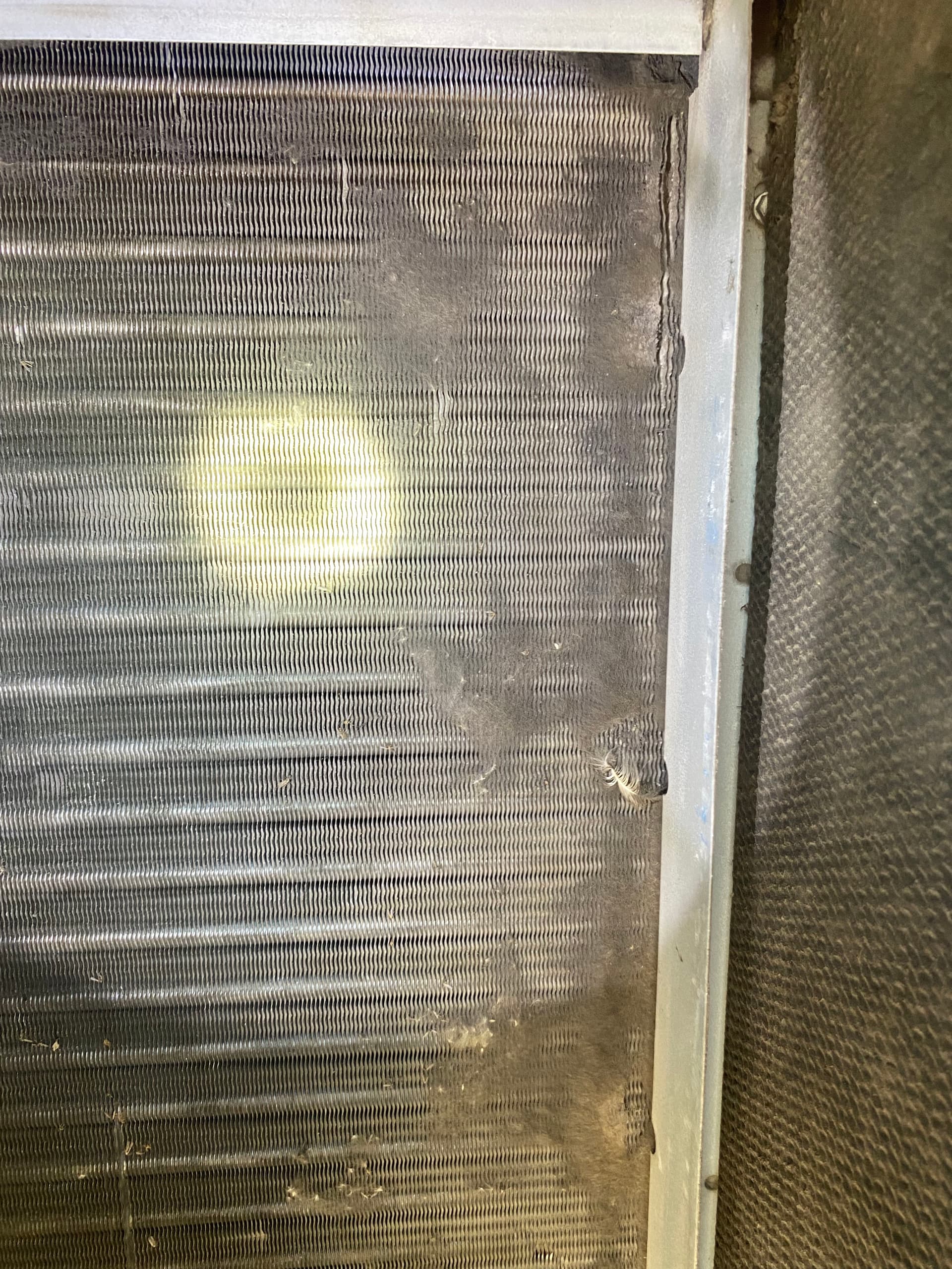Gallery photos for Coil Cleaning and Filter Service at Southgate Ford: Image #4