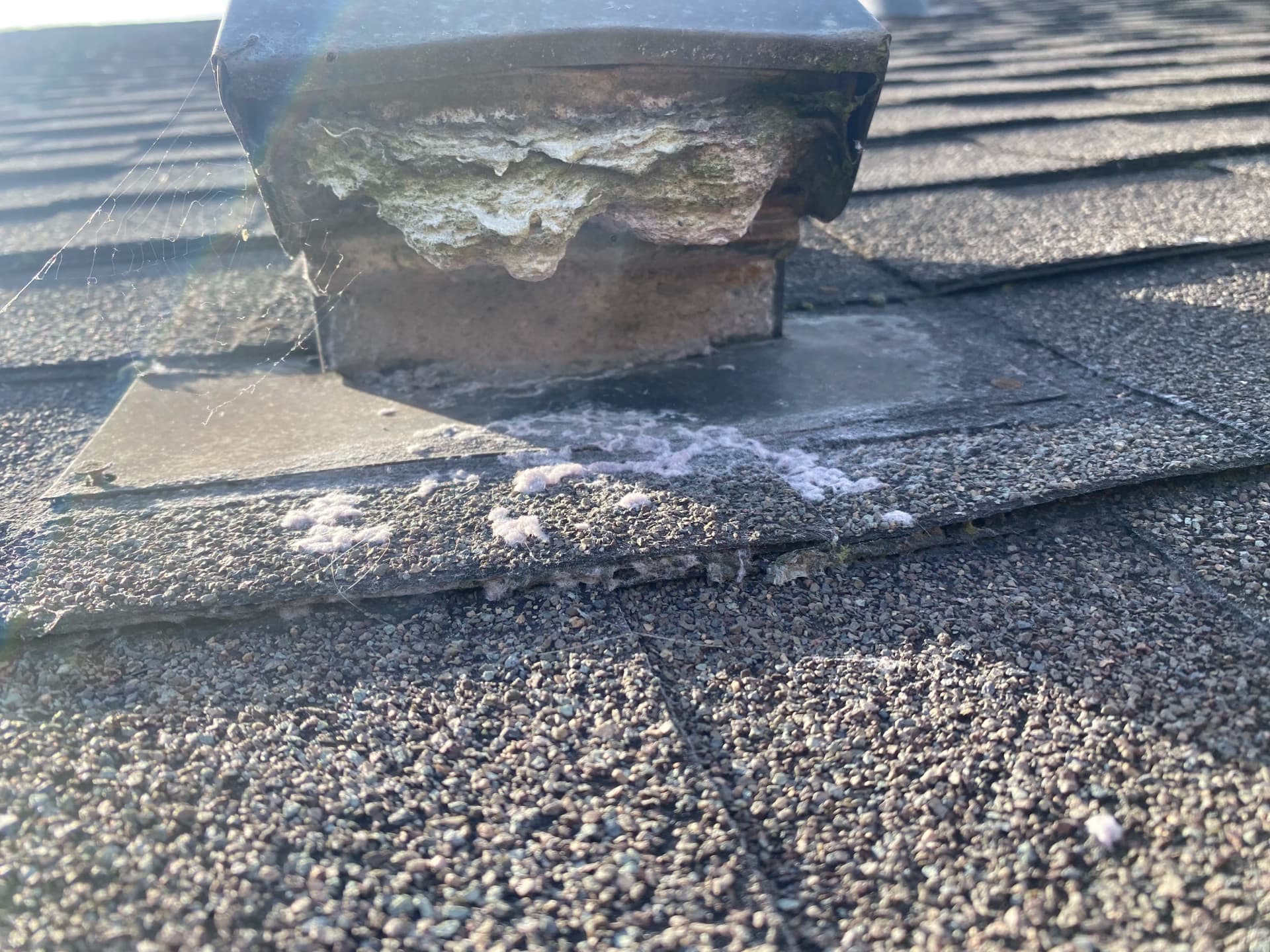 Clogged Dryer Vents Are a Real Fire Hazard image