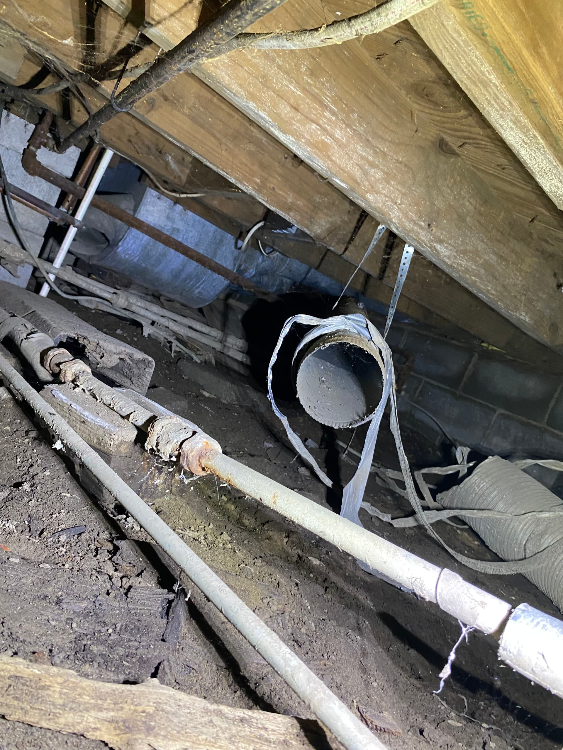 Gallery photos for What a Neglected Crawlspace Actually Looks Like: Image #3