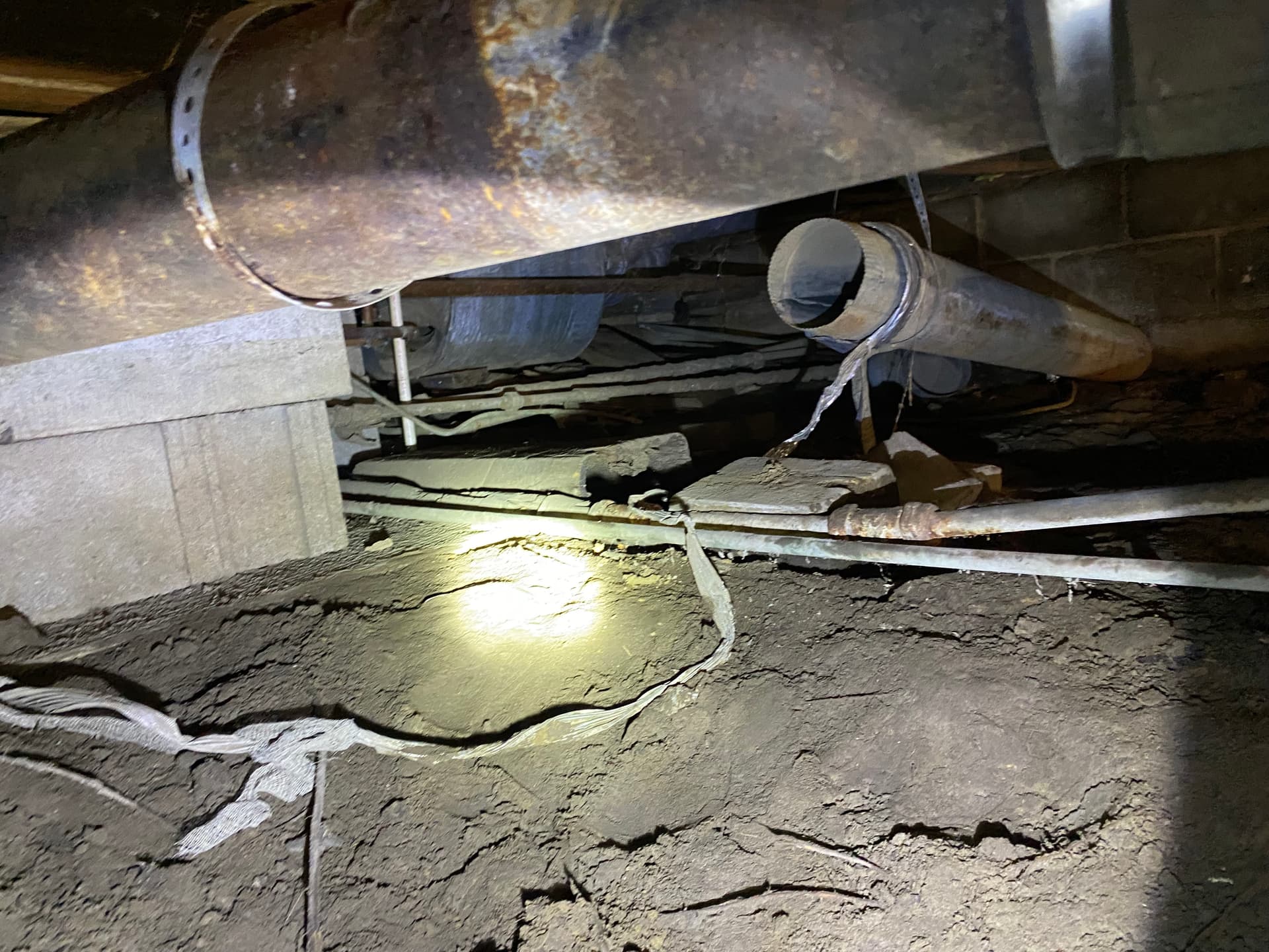 Gallery photos for What a Neglected Crawlspace Actually Looks Like: Image #5