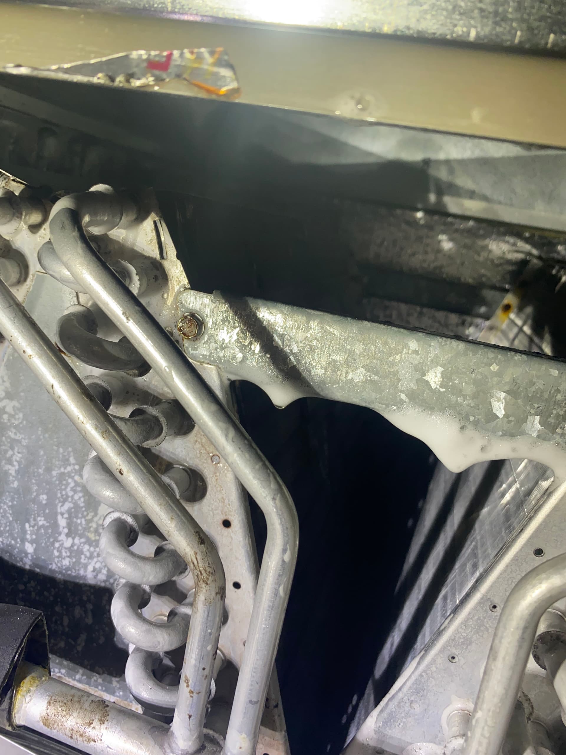 Gallery photos for Mold in Your HVAC System Is Not Something to Wait On: Image #7