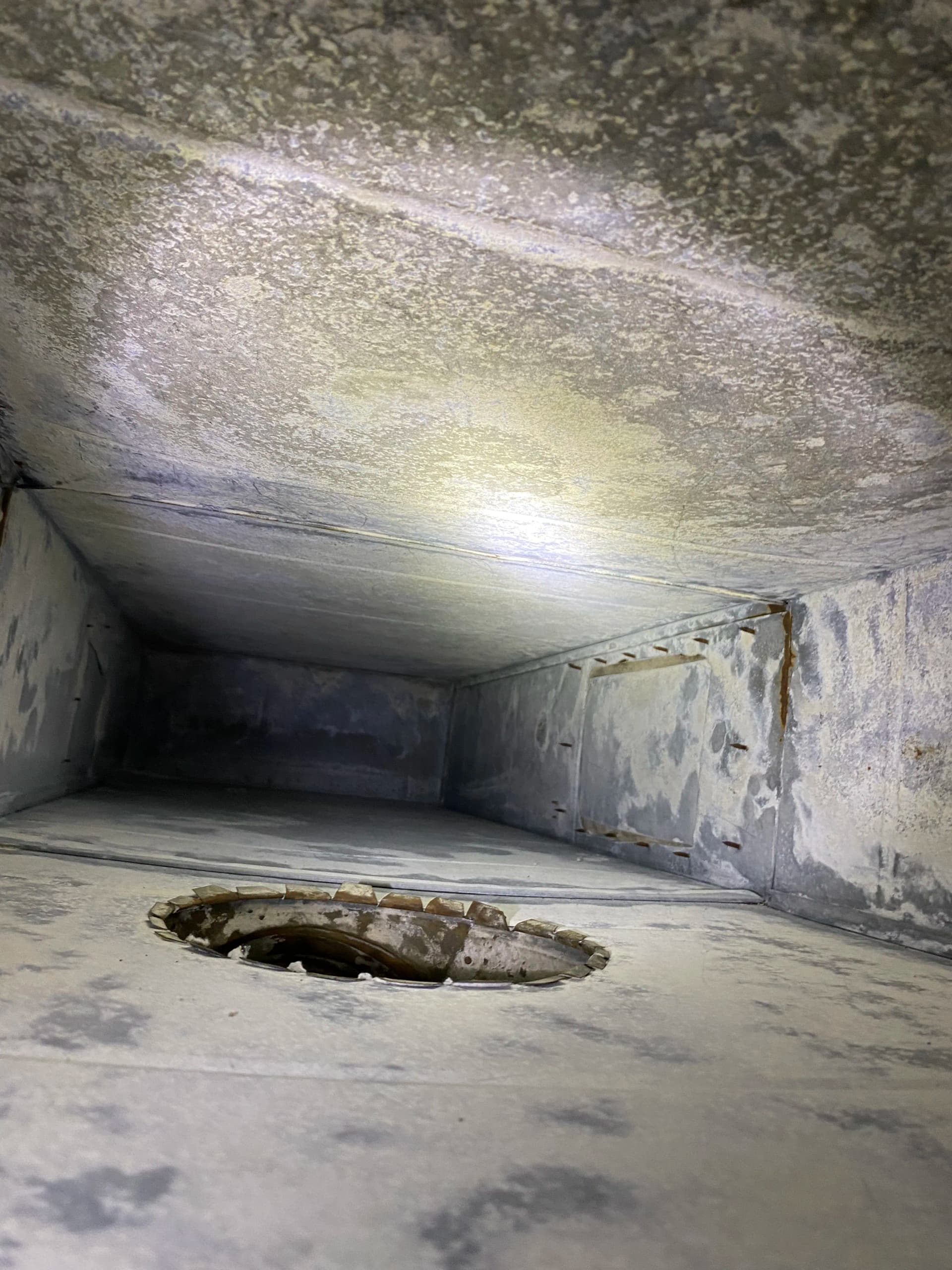 Gallery photos for 4 Years Strong Keeping the Sheraton Near DTW Breathing Clean: Image #9