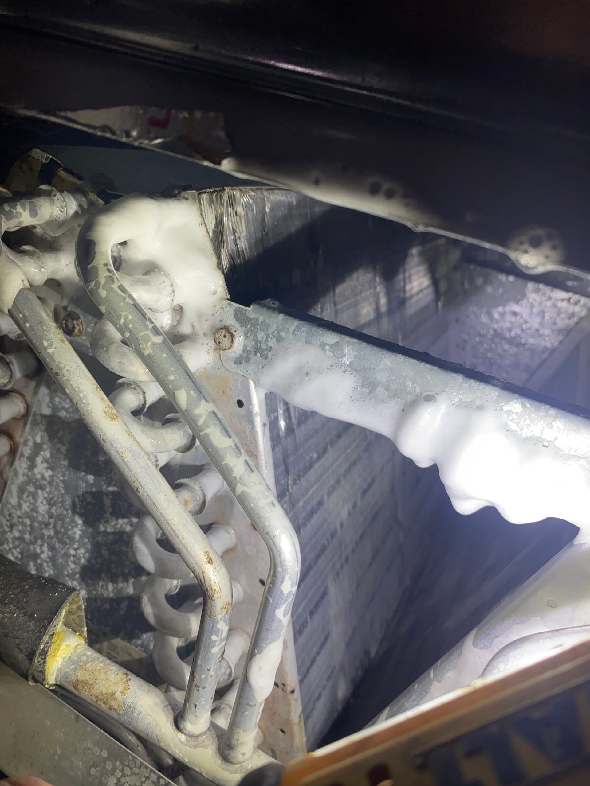 Gallery photos for Mold in Your HVAC System Is Not Something to Wait On: Image #5
