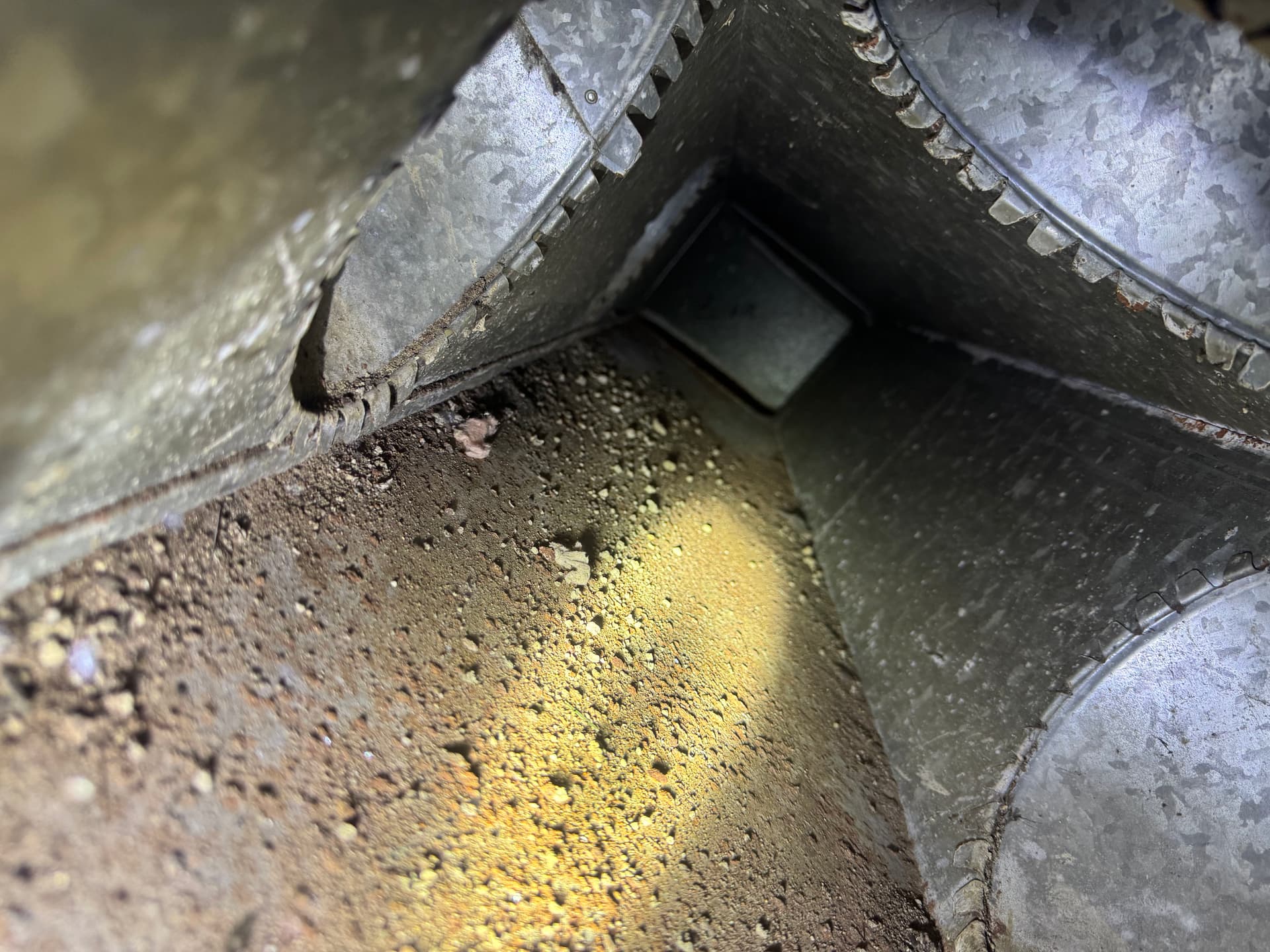 Gallery photos for What's Hiding in Your Ductwork and Crawlspace: Image #2