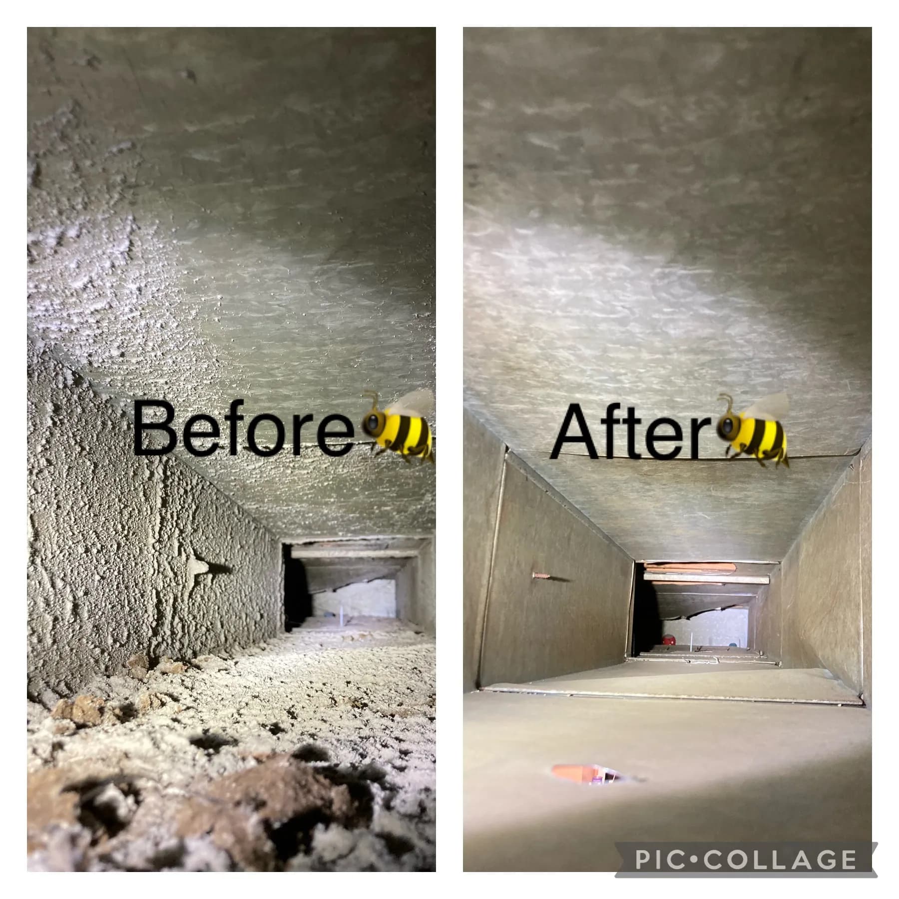 Gallery photos for What's Really Living Inside Your Air Ducts: Image #3