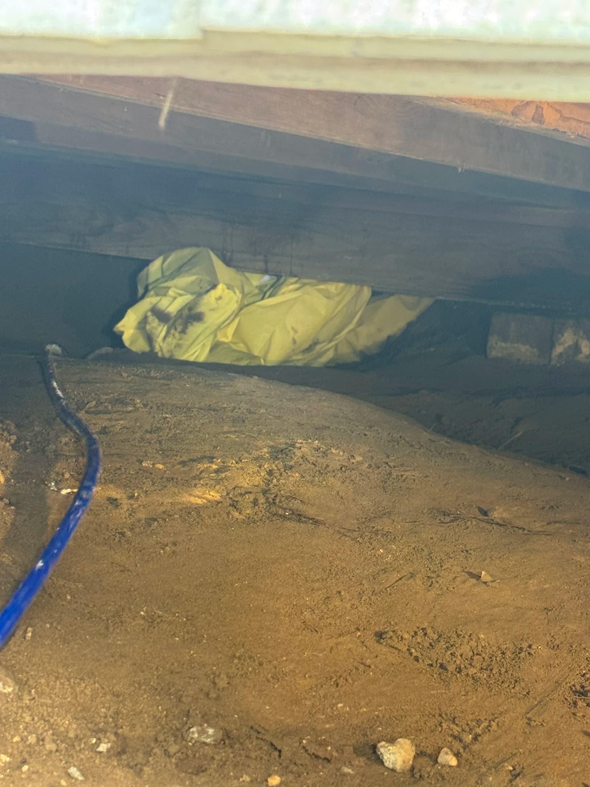 Gallery photos for Crawl Space Mold Remediation Done Right - No Shortcuts: Image #3