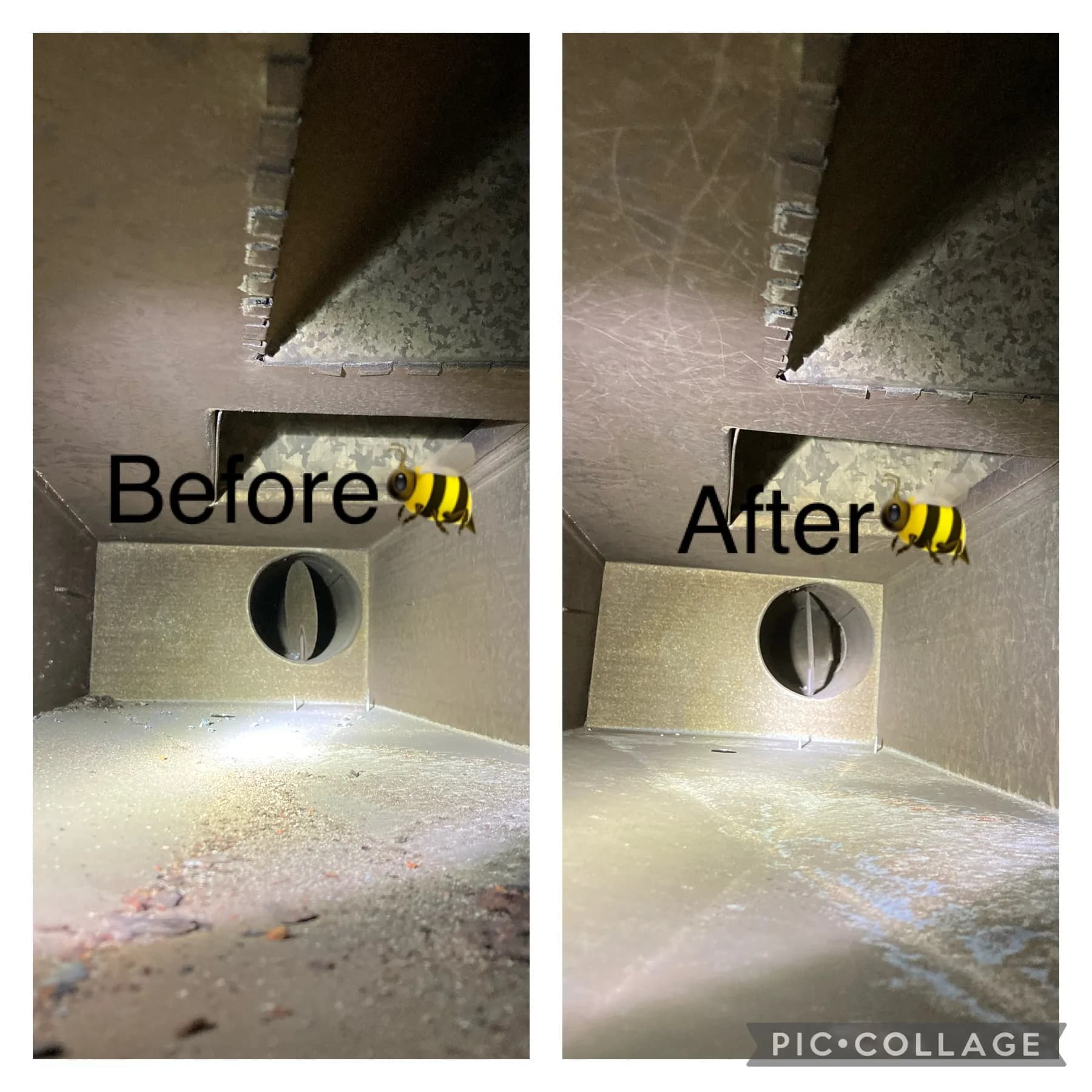 Gallery photos for What's Really Living Inside Your Air Ducts: Image #1