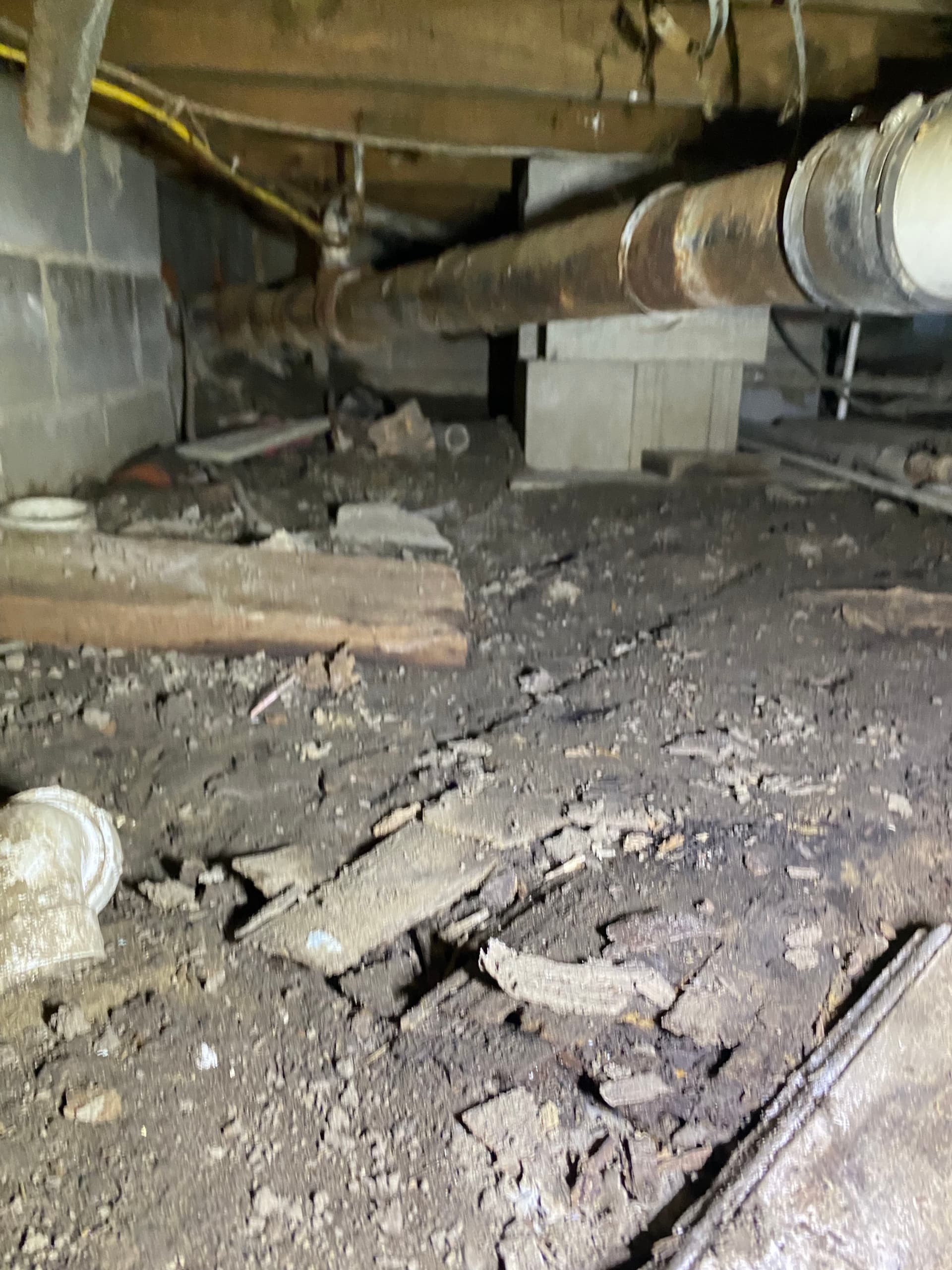 Gallery photos for What a Neglected Crawlspace Actually Looks Like: Image #2
