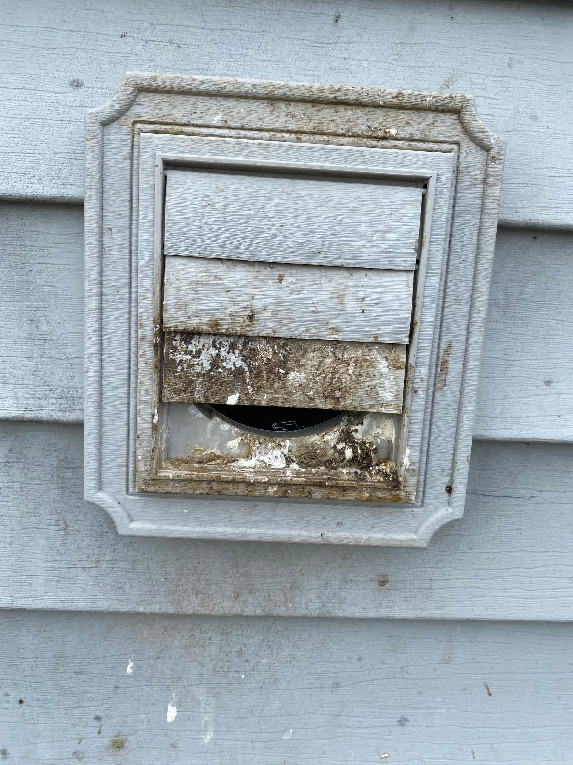 Gallery photos for Bird Nest in a Bathroom Fan Vent Caused Chaos in Newport: Image #7