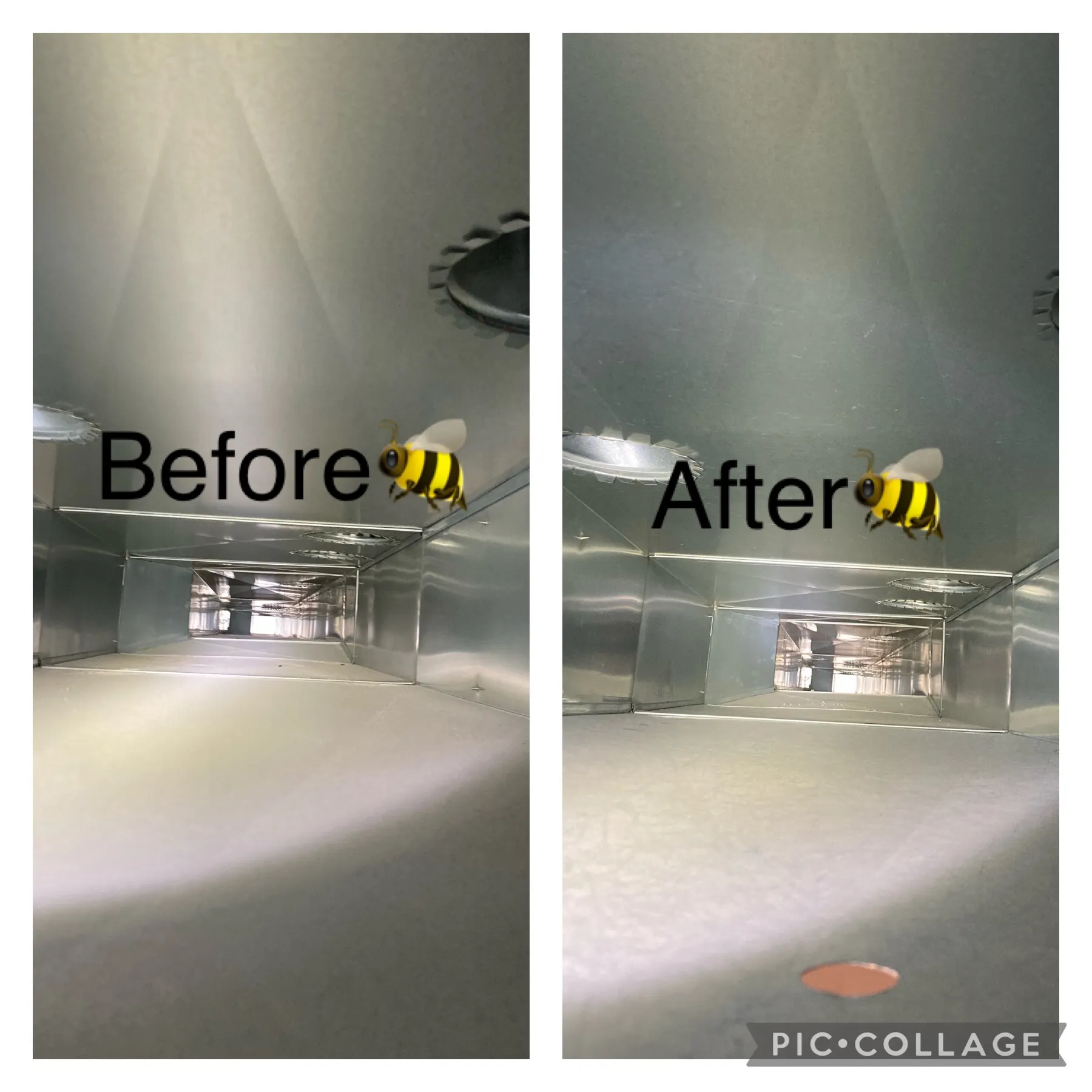 What's Really Living Inside Your Air Ducts image