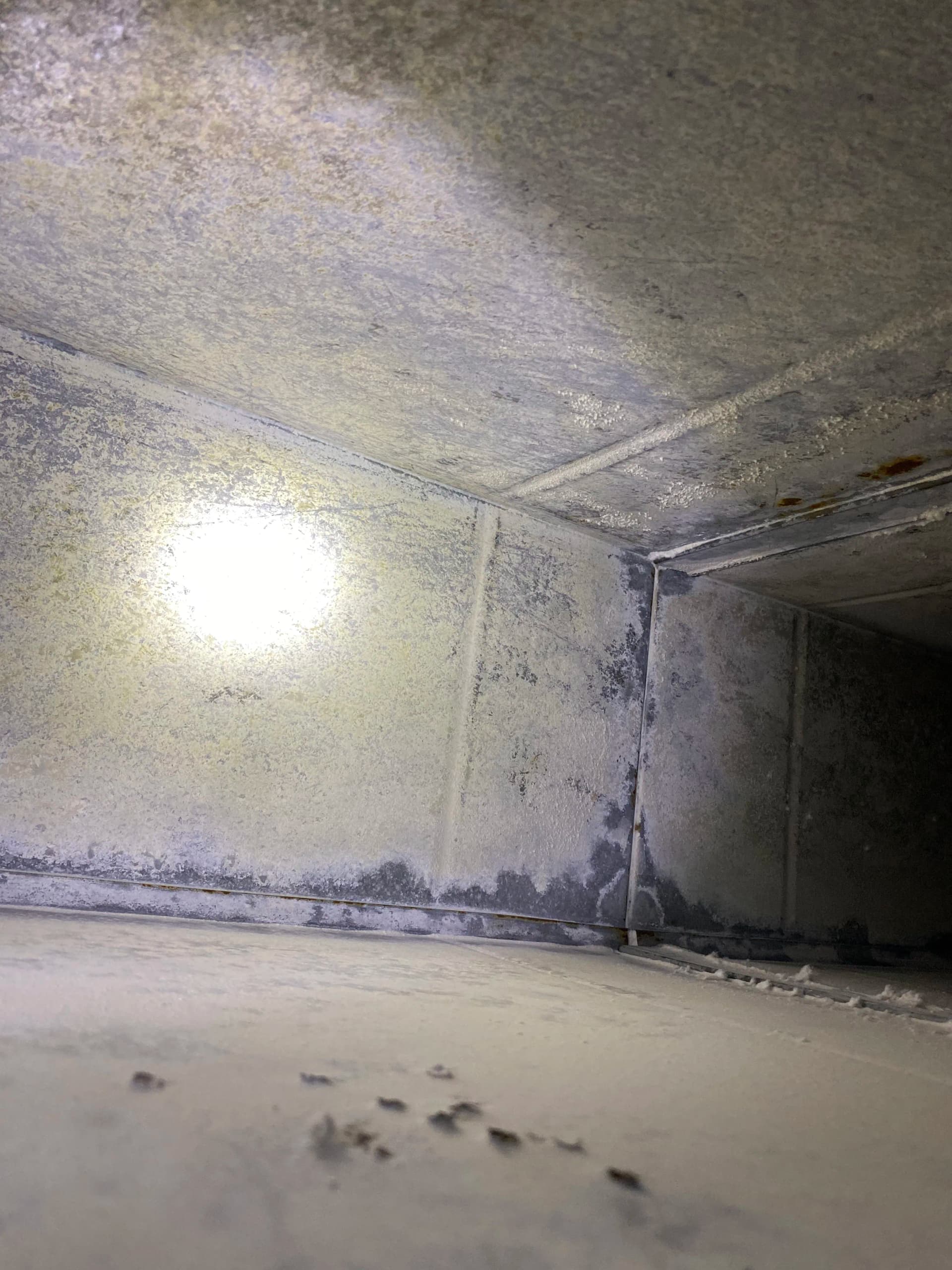Gallery photos for 4 Years Strong Keeping the Sheraton Near DTW Breathing Clean: Image #6