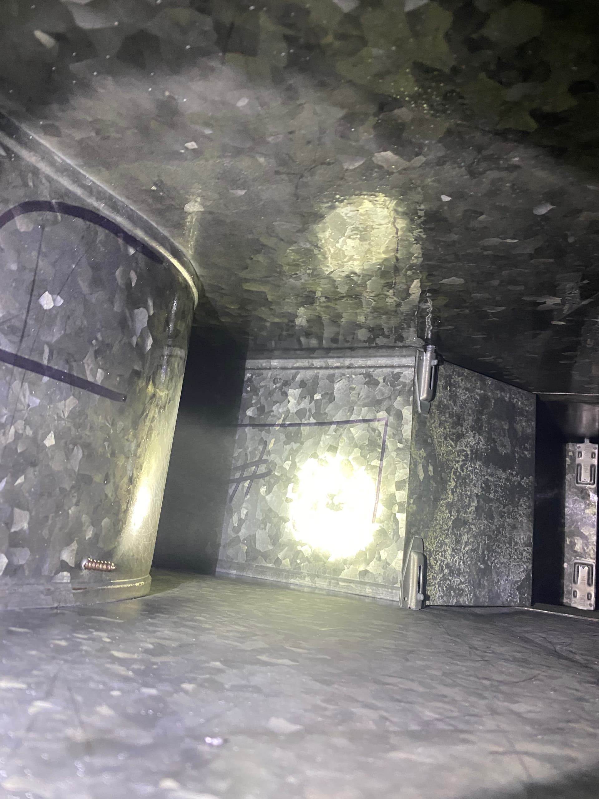 Gallery photos for Mold in Your HVAC System Is Not Something to Wait On: Image #3