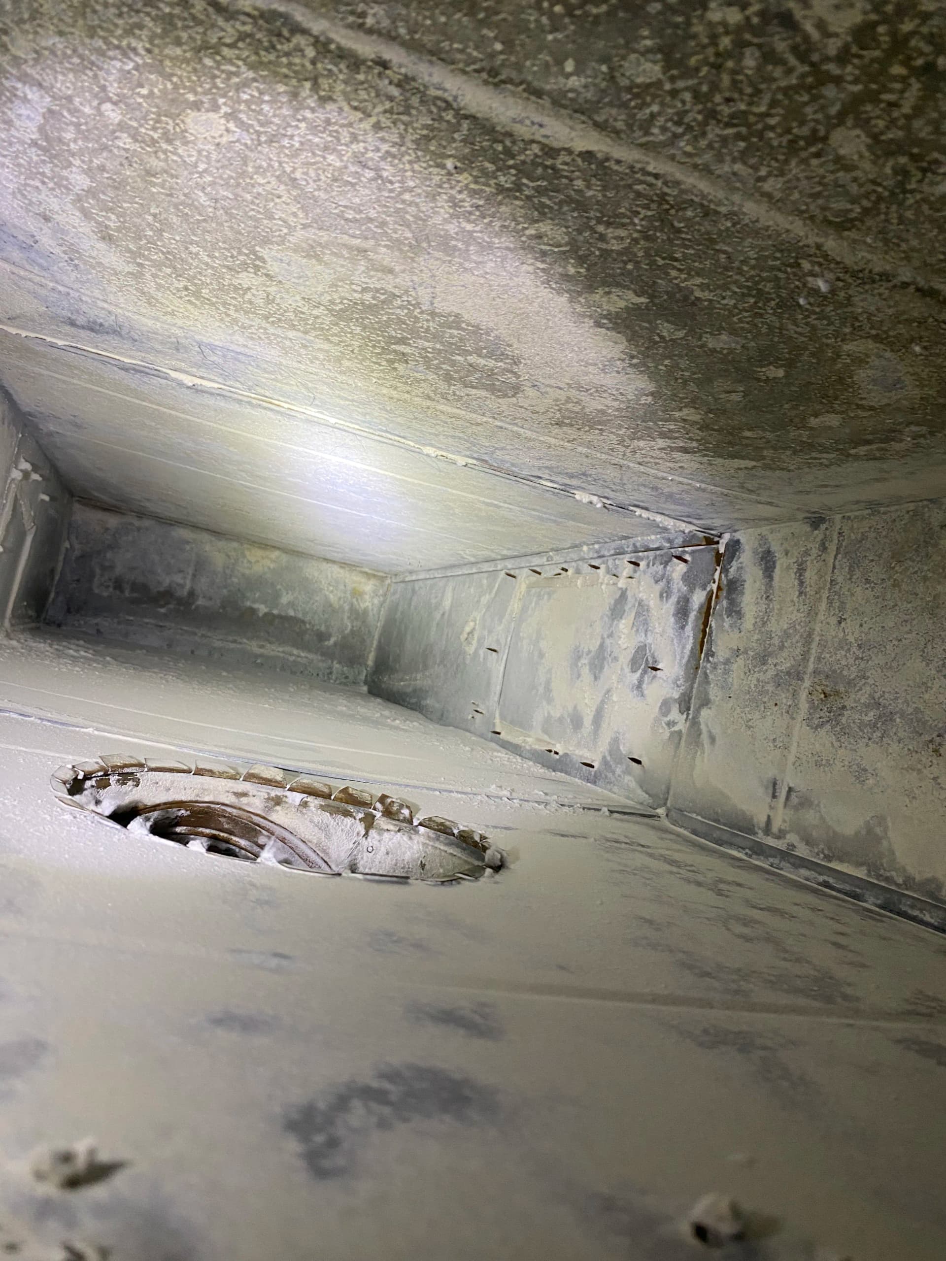 Gallery photos for 4 Years Strong Keeping the Sheraton Near DTW Breathing Clean: Image #5