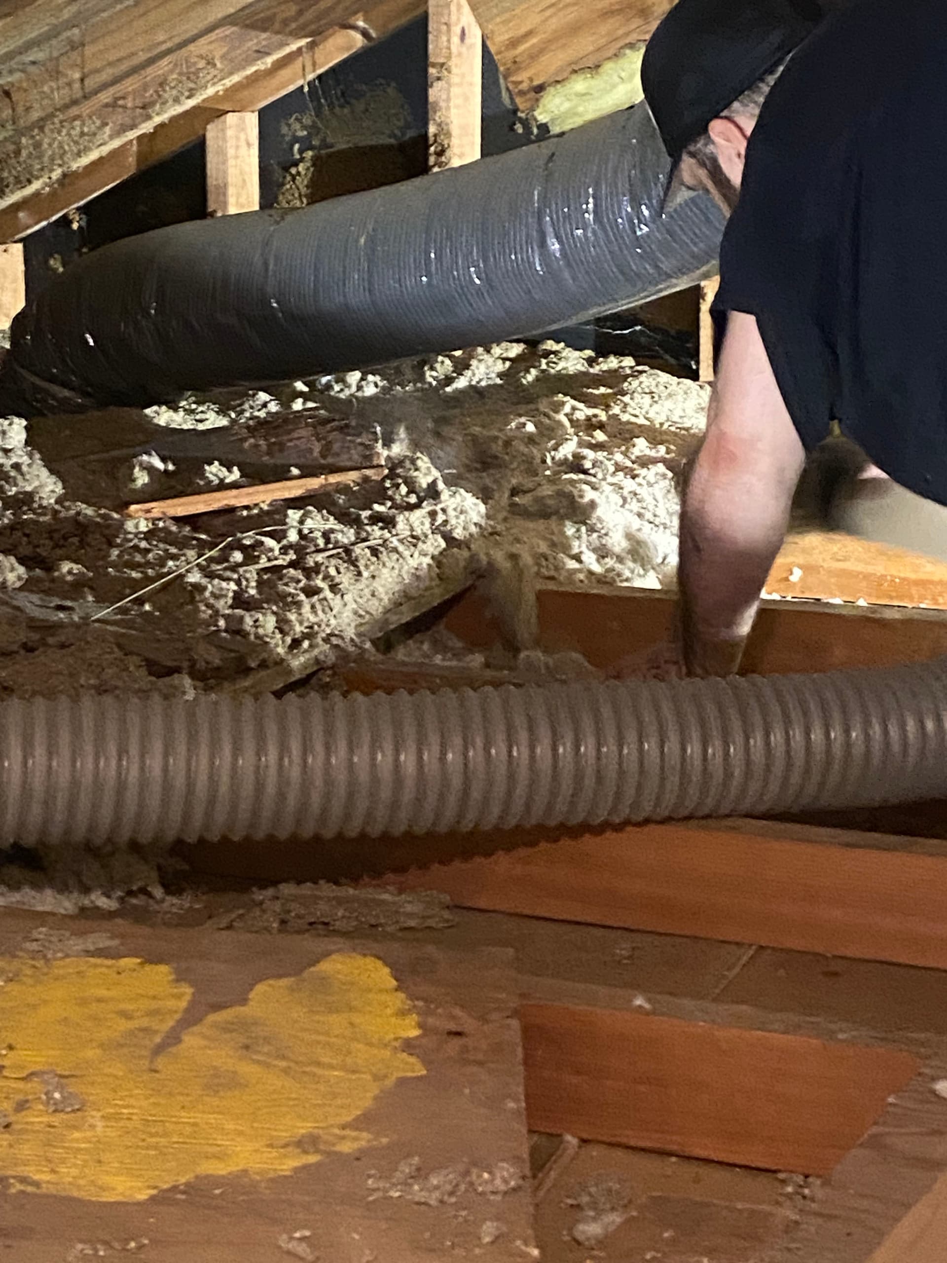 Gallery photos for Contaminated Insulation Removal and Full Duct Cleaning for Local Office: Image #4