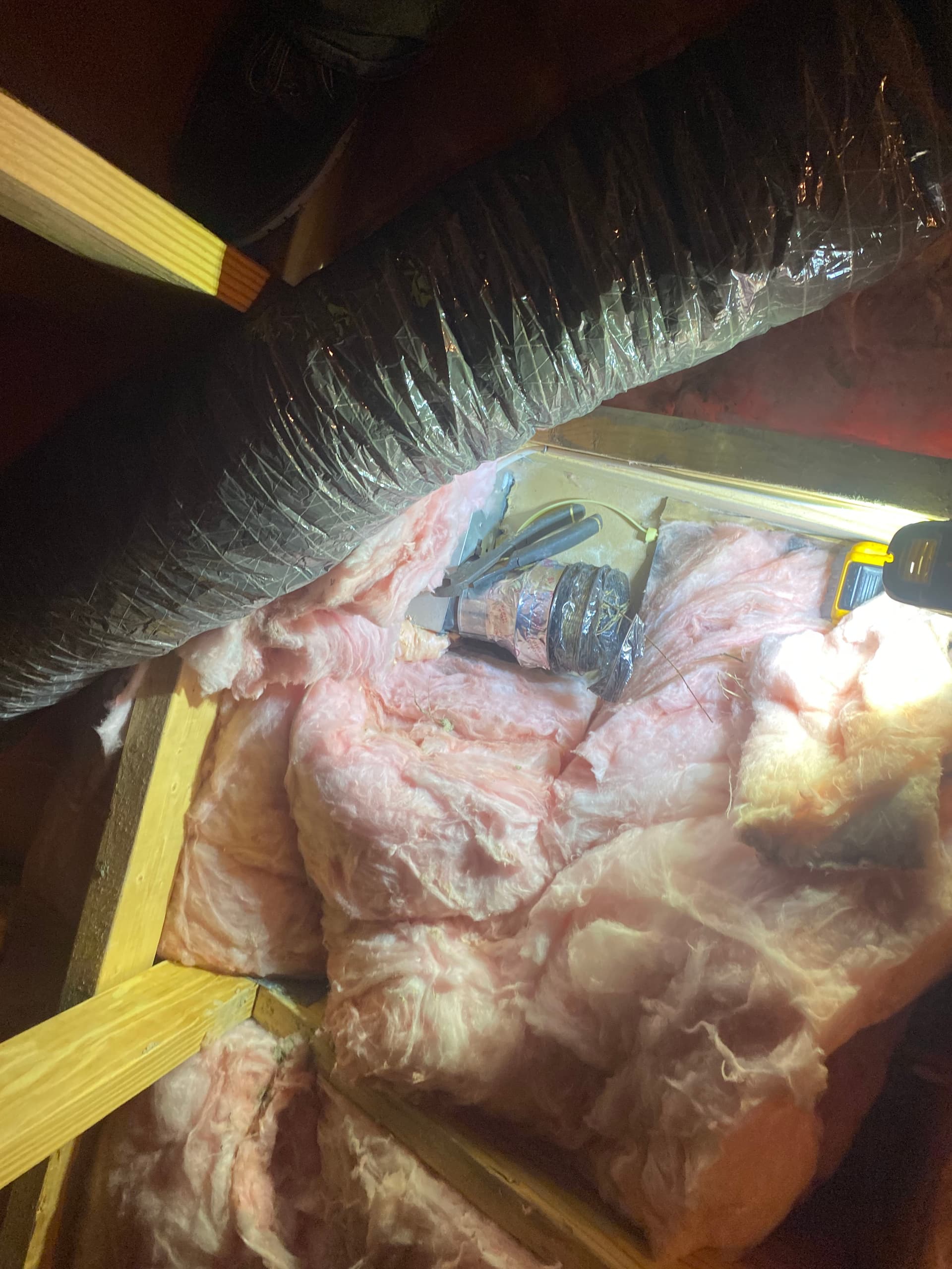 Gallery photos for Bird Nest in a Bathroom Fan Vent Caused Chaos in Newport: Image #5