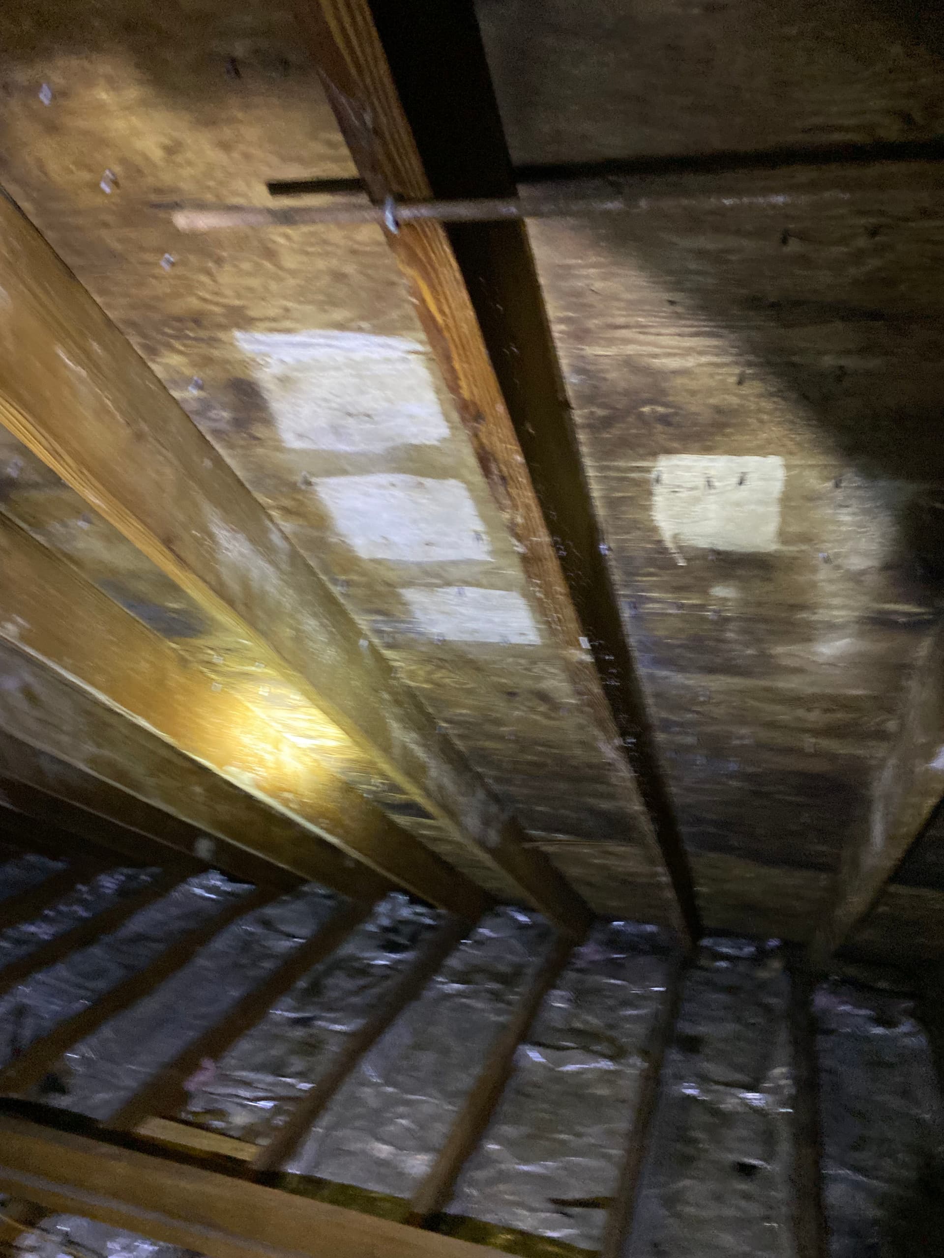 Attic Mold Remediation Backed by a 10-Year Warranty image