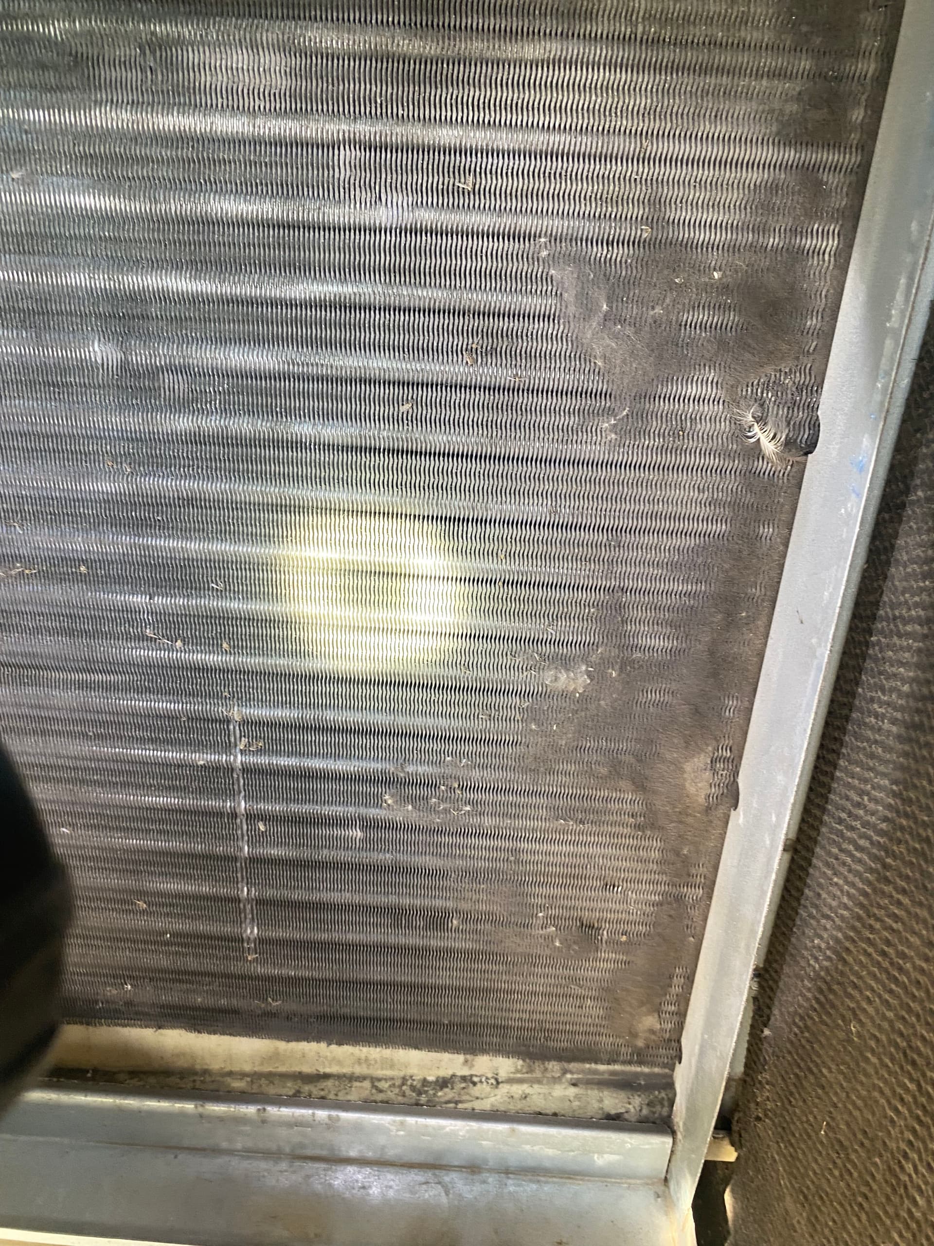 Gallery photos for Coil Cleaning and Filter Service at Southgate Ford: Image #5