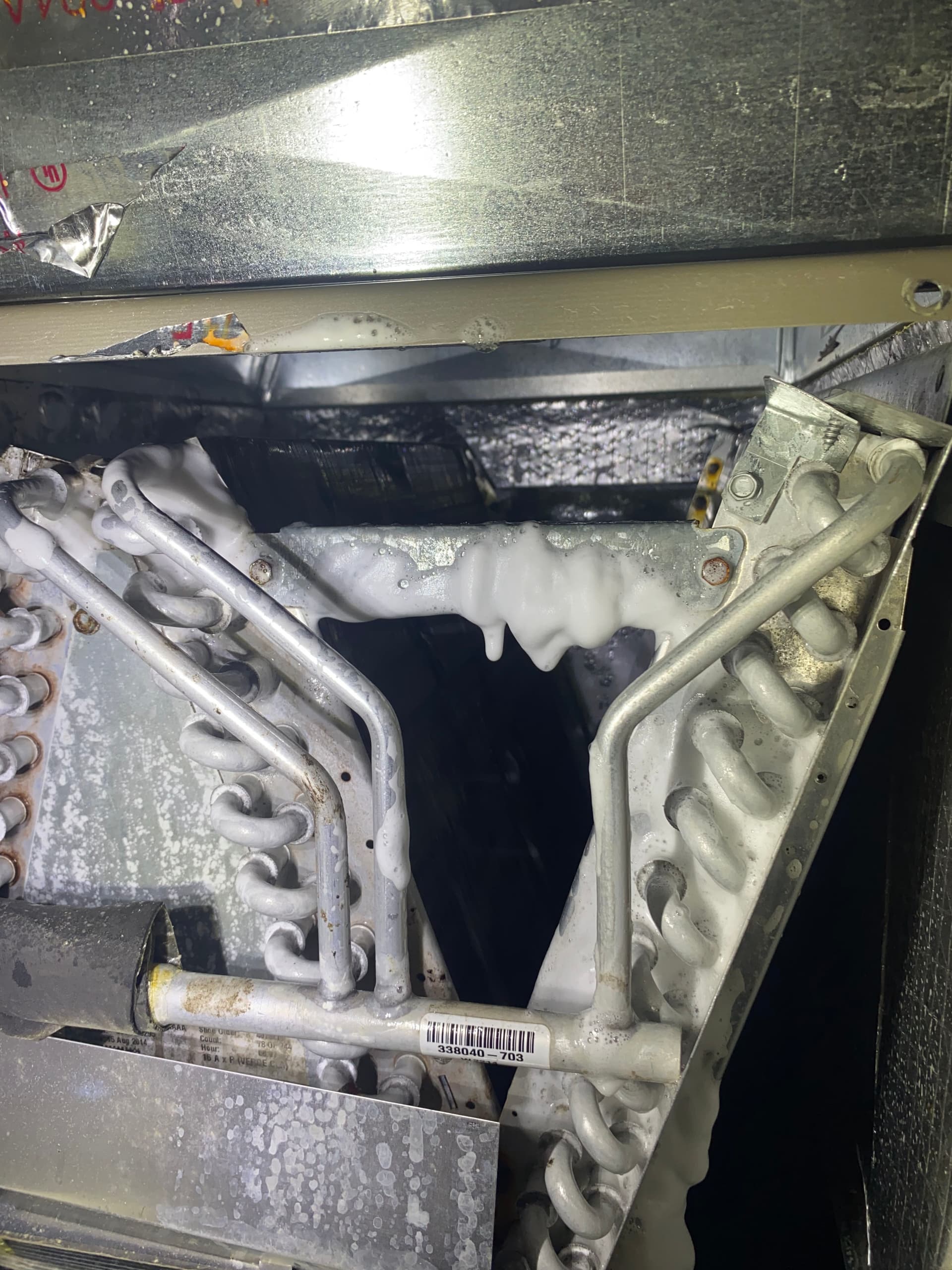 Gallery photos for Mold in Your HVAC System Is Not Something to Wait On: Image #1