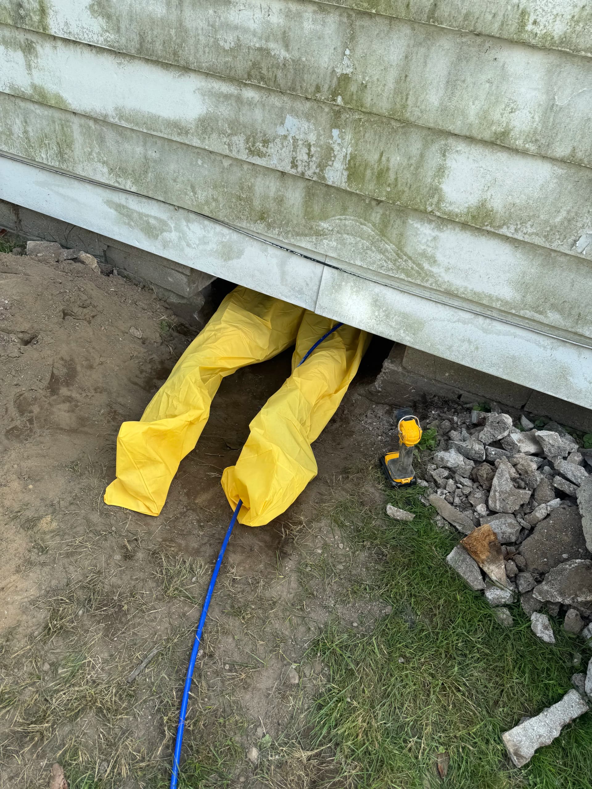 Gallery photos for Crawl Space Mold Remediation Done Right - No Shortcuts: Image #2
