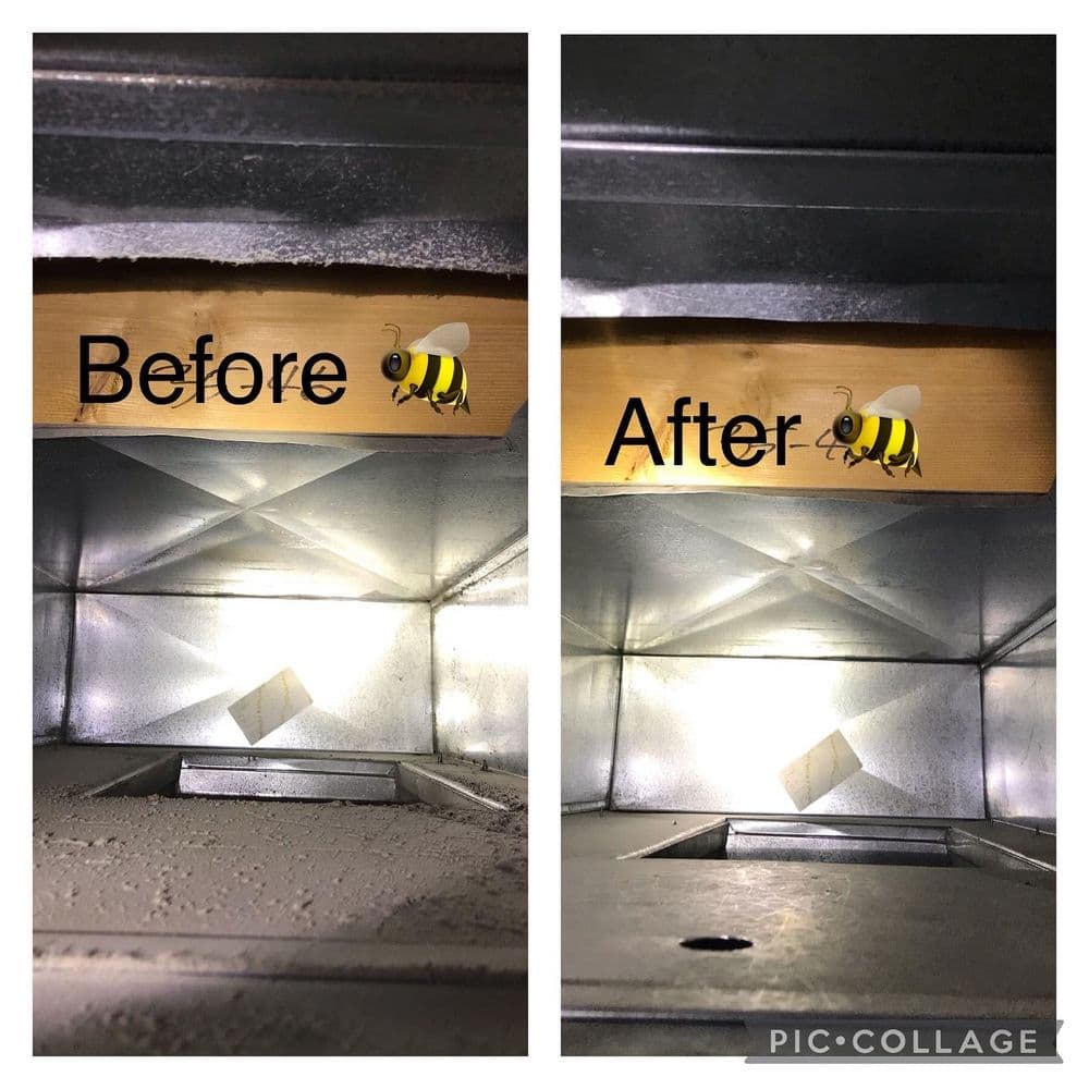 Before and after comparison of a bee removal service showing improved hive area.