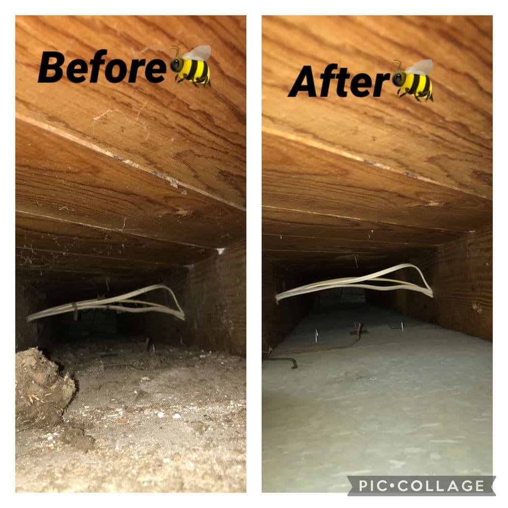 Before and after comparison of a clean space under a floor, showing improved cleanliness.