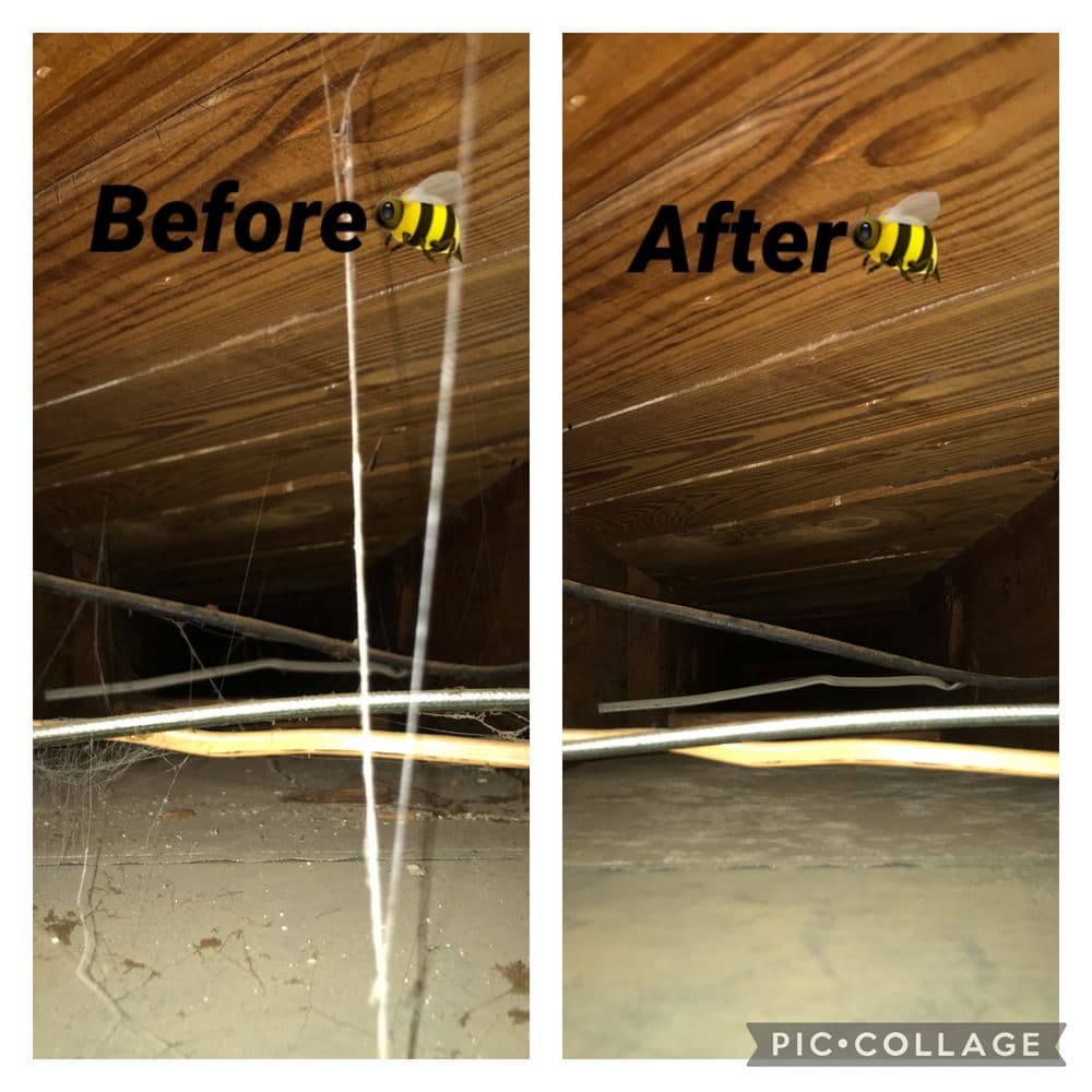 Before and after cleaning of a dusty, cobweb-filled space under a house.