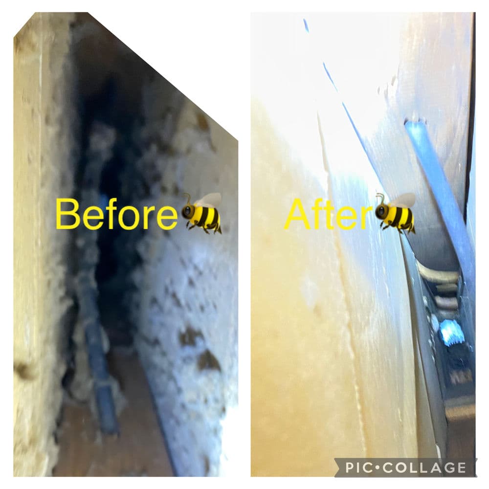 Before and after images of a bee removal process, showcasing the area before and after clearing.