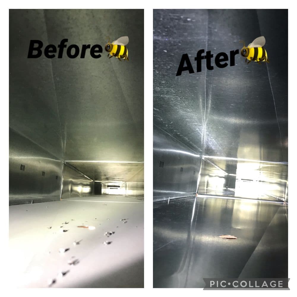 Bee removal inside a vent: before and after cleaning, showcasing improved cleanliness.