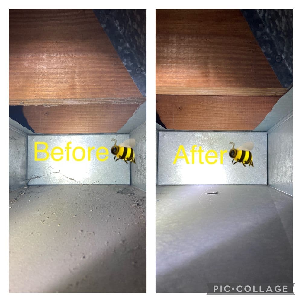 Before and after photo showing a cleaner space with a bee illustration in a corner.