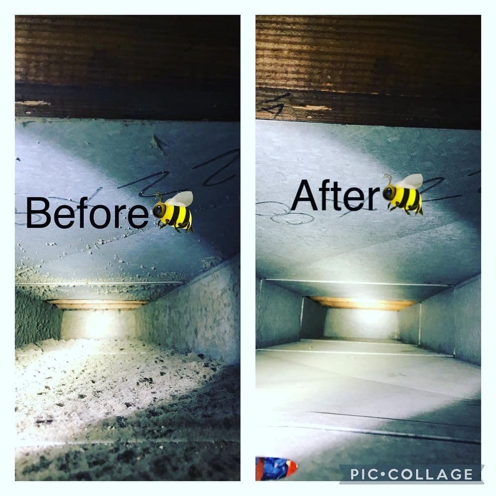 Before and after comparison of a clean bee box, highlighting improved visibility and cleanliness.