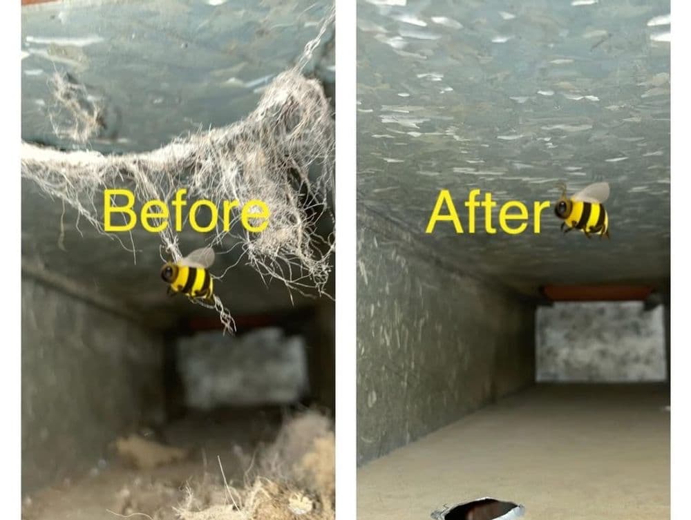 Before and after of a clean space showing a bee and removed debris from a hidden area.