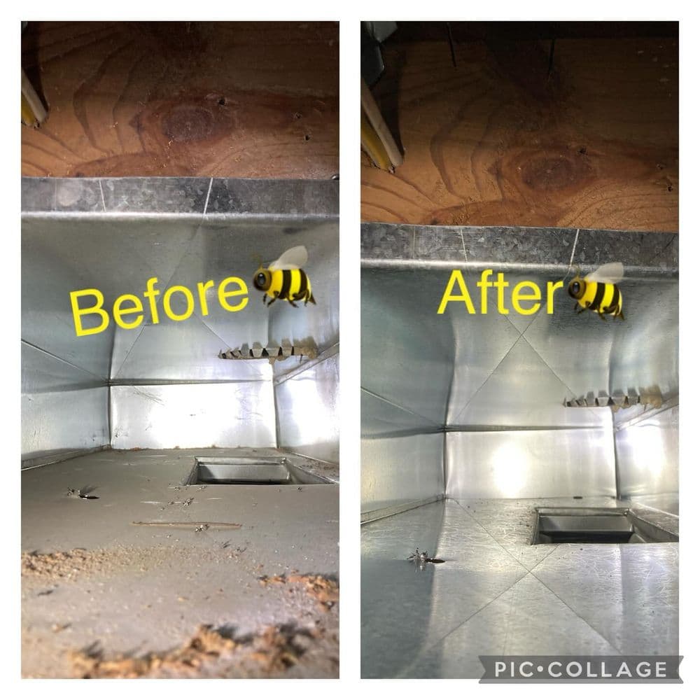 Duct cleaning before and after: visible dirt removed for improved air quality and efficiency.