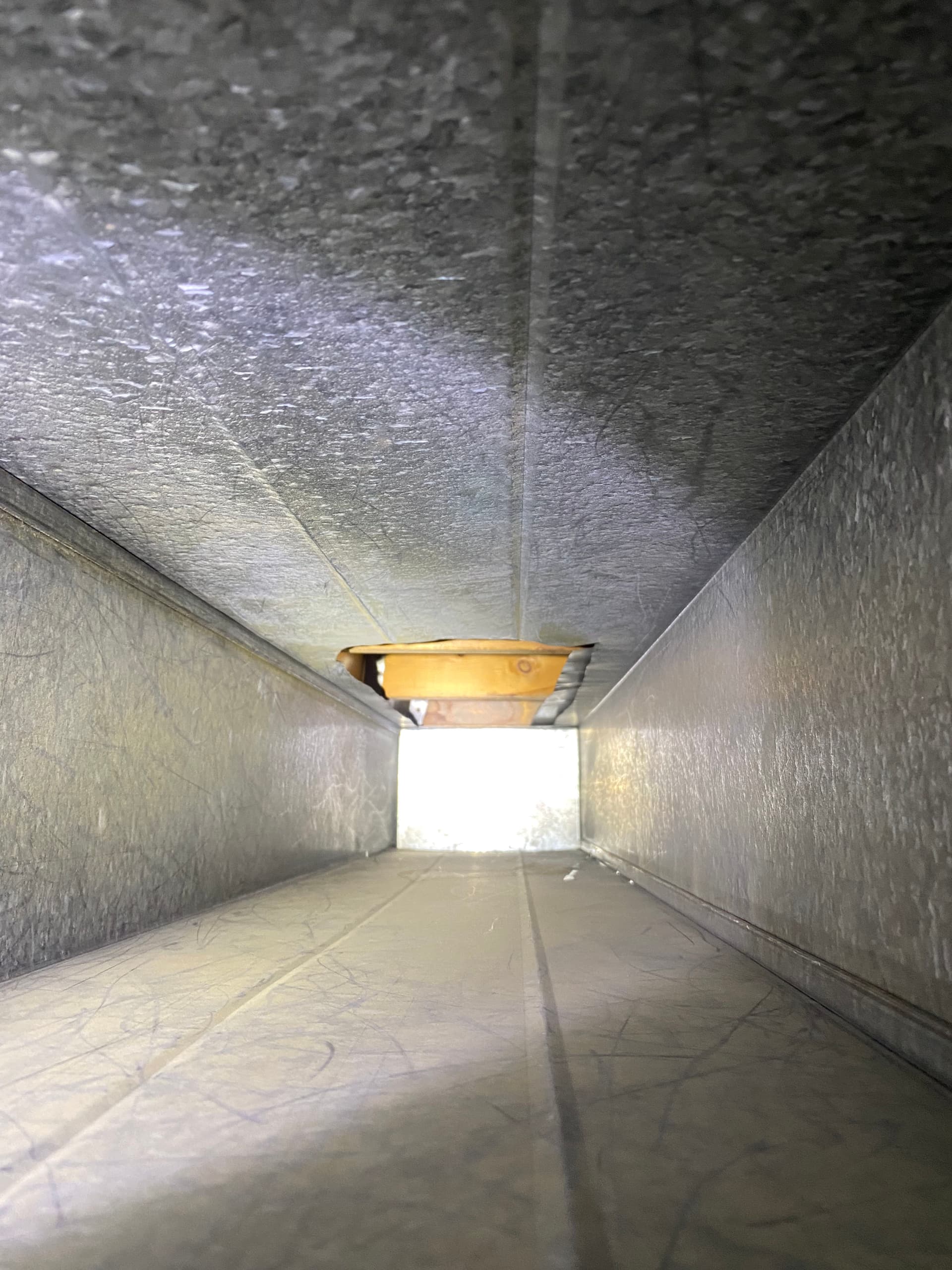 Gallery photos for What's Really Hiding Inside Your Home's Air Ducts: Image #2