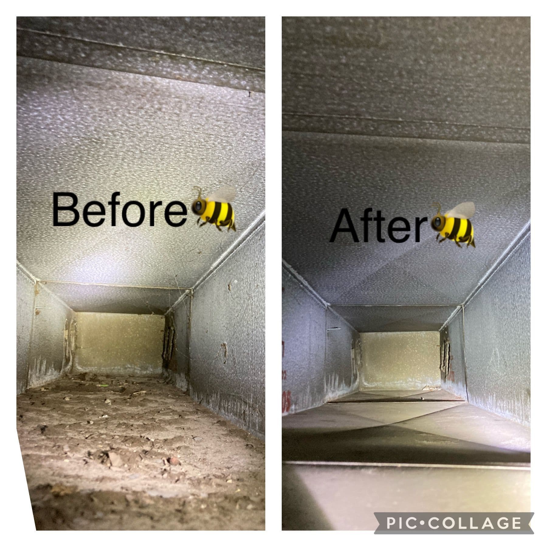 Gallery photos for What's Actually Living Inside Your Air Ducts: Image #5
